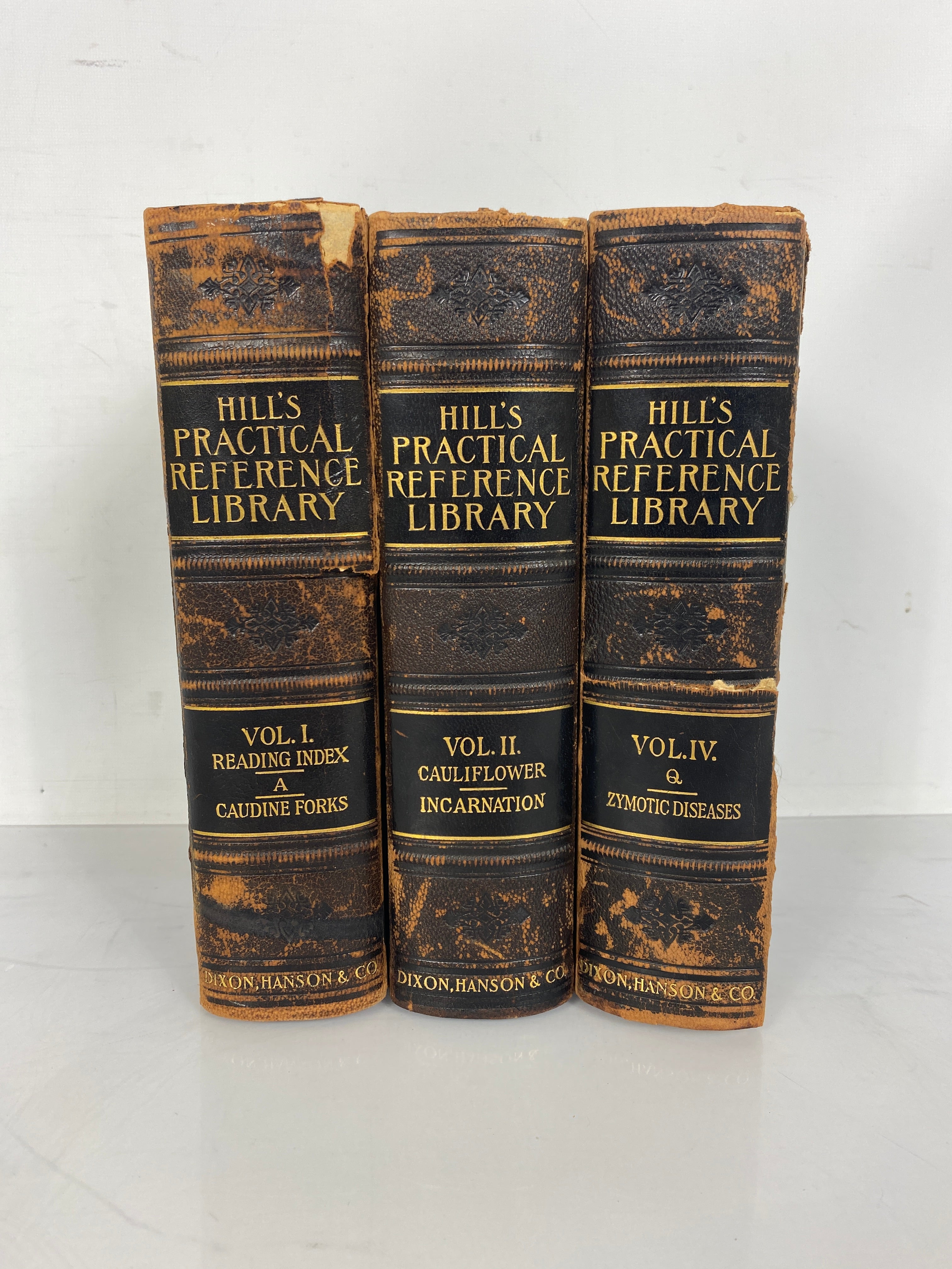 3 Antique Volumes: Hill's Practical Reference Library 1903 (I/II/IV) HC