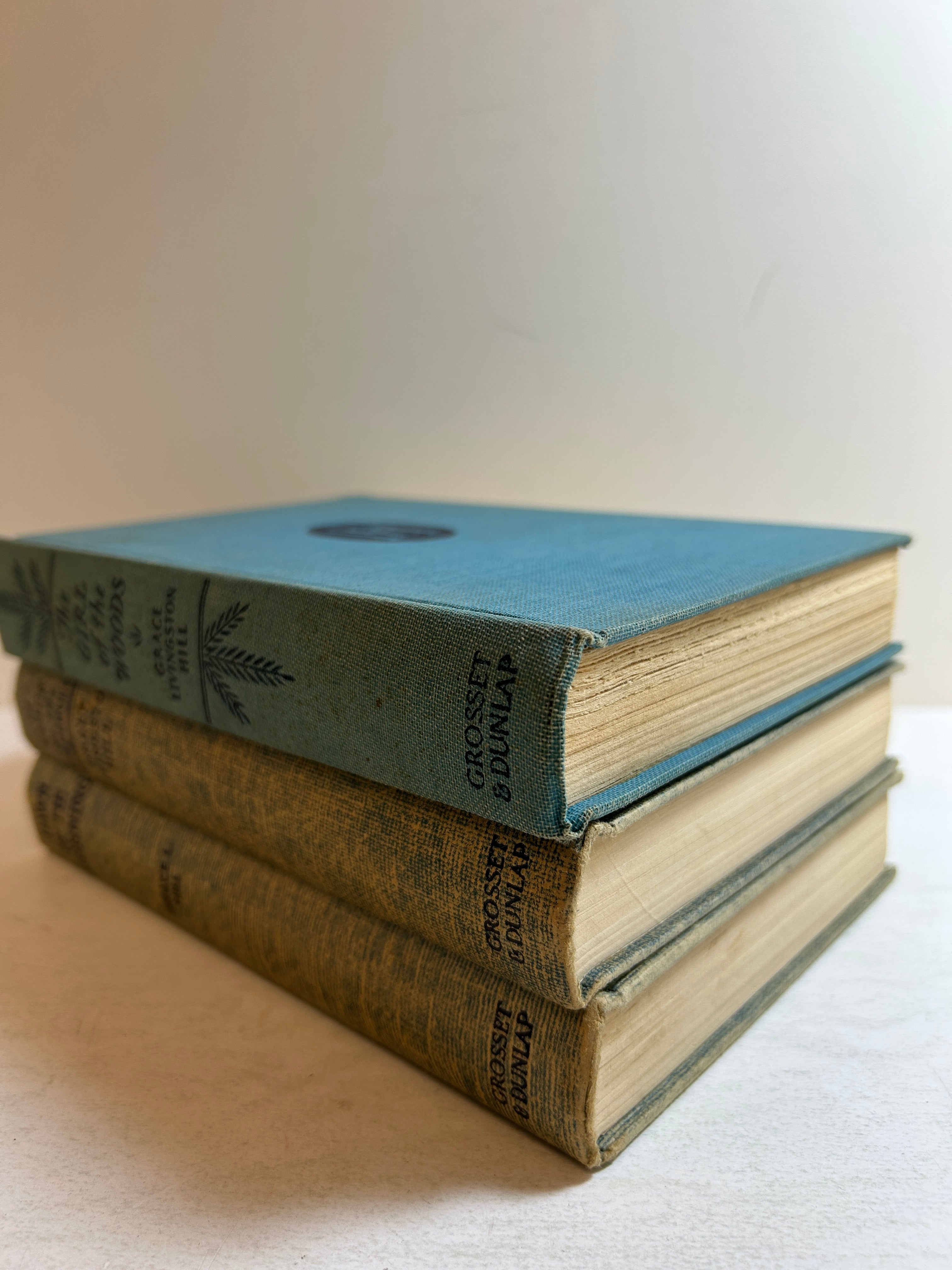 3 Grace L. Hill Dawn of the Morning/Girl of the Woods/Voice in the Wilderness HC