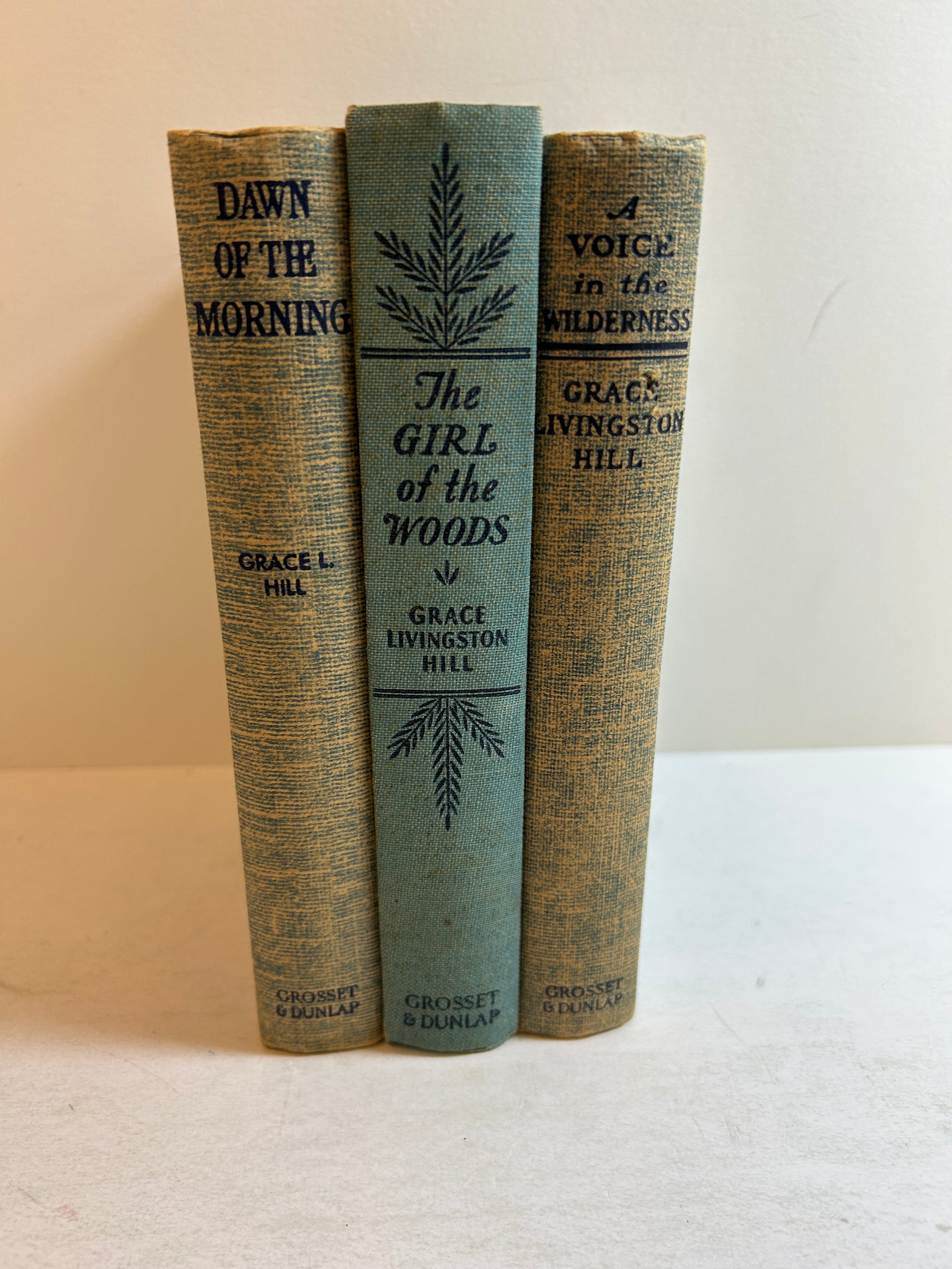 3 Grace L. Hill Dawn of the Morning/Girl of the Woods/Voice in the Wilderness HC