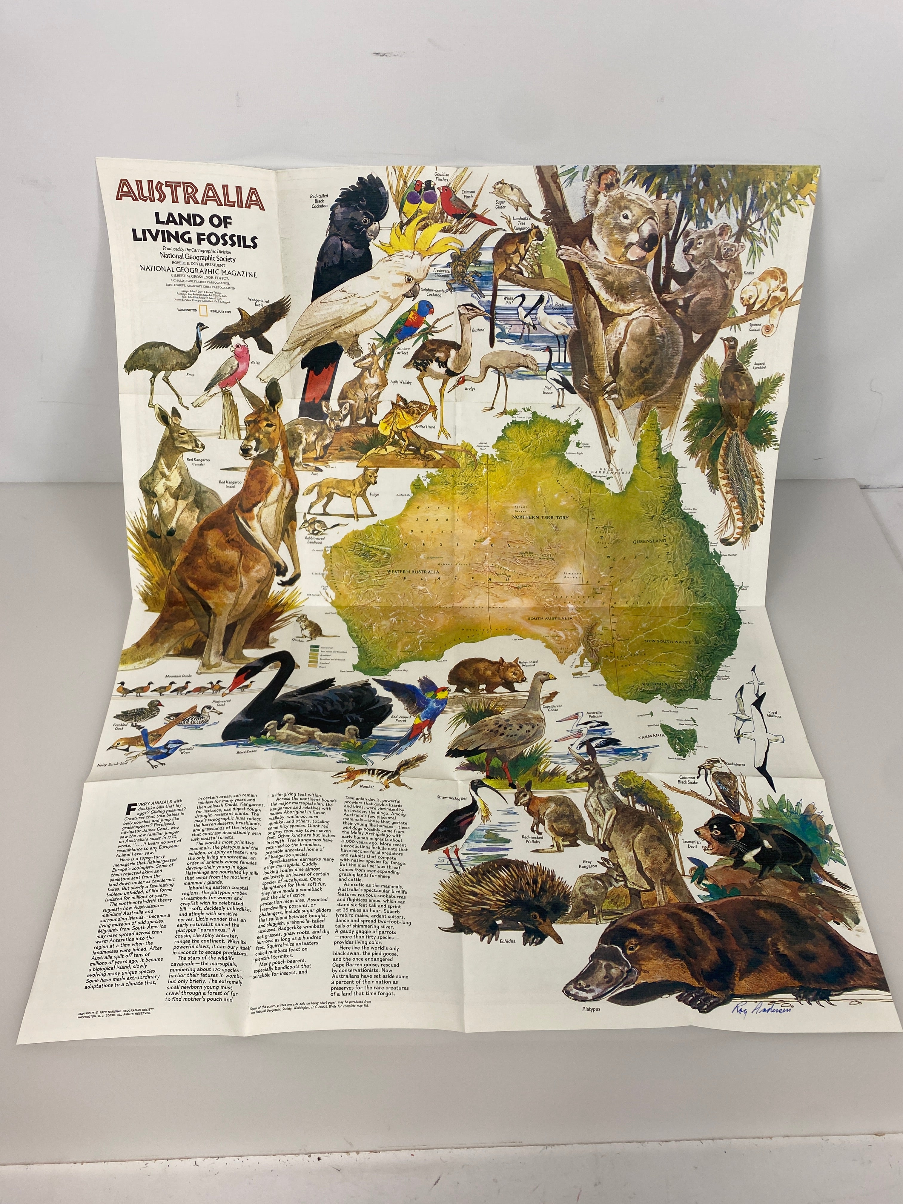 3 Nat Geo Australia Wall Maps Land of Living Fossils/Traveler's Look/Under Siege