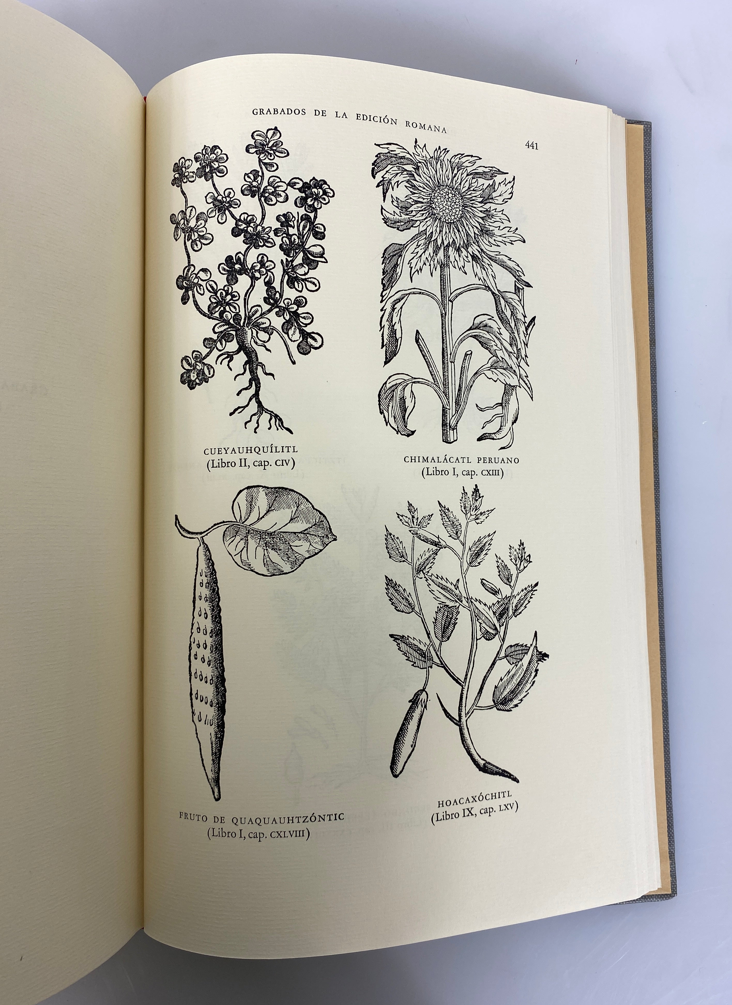 3 Vol Set: Life & Works of Francisco Hernandez/Natural History of New Spain HC