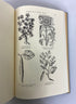 3 Vol Set: Life & Works of Francisco Hernandez/Natural History of New Spain HC