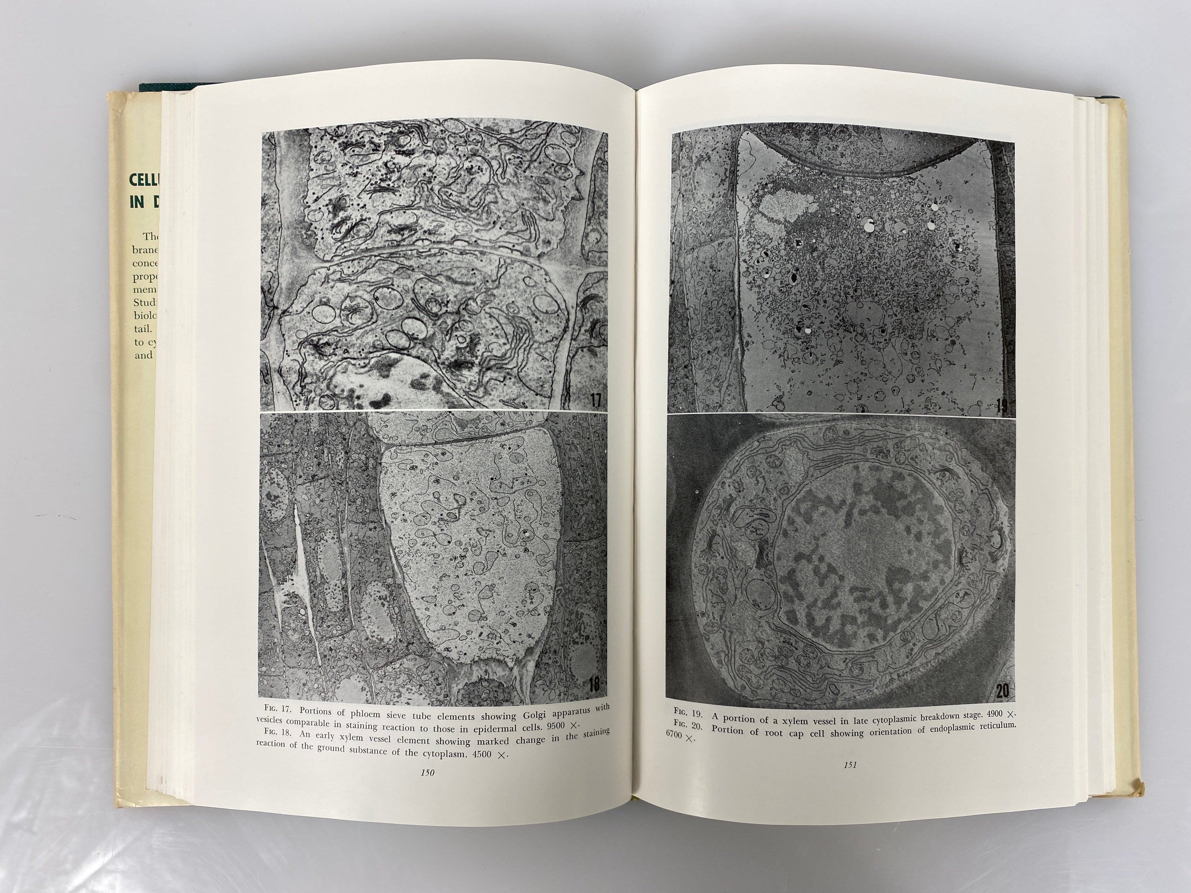 3 Vols: Symposium of the Society for Study of Development & Growth 1963-65 HCDJ