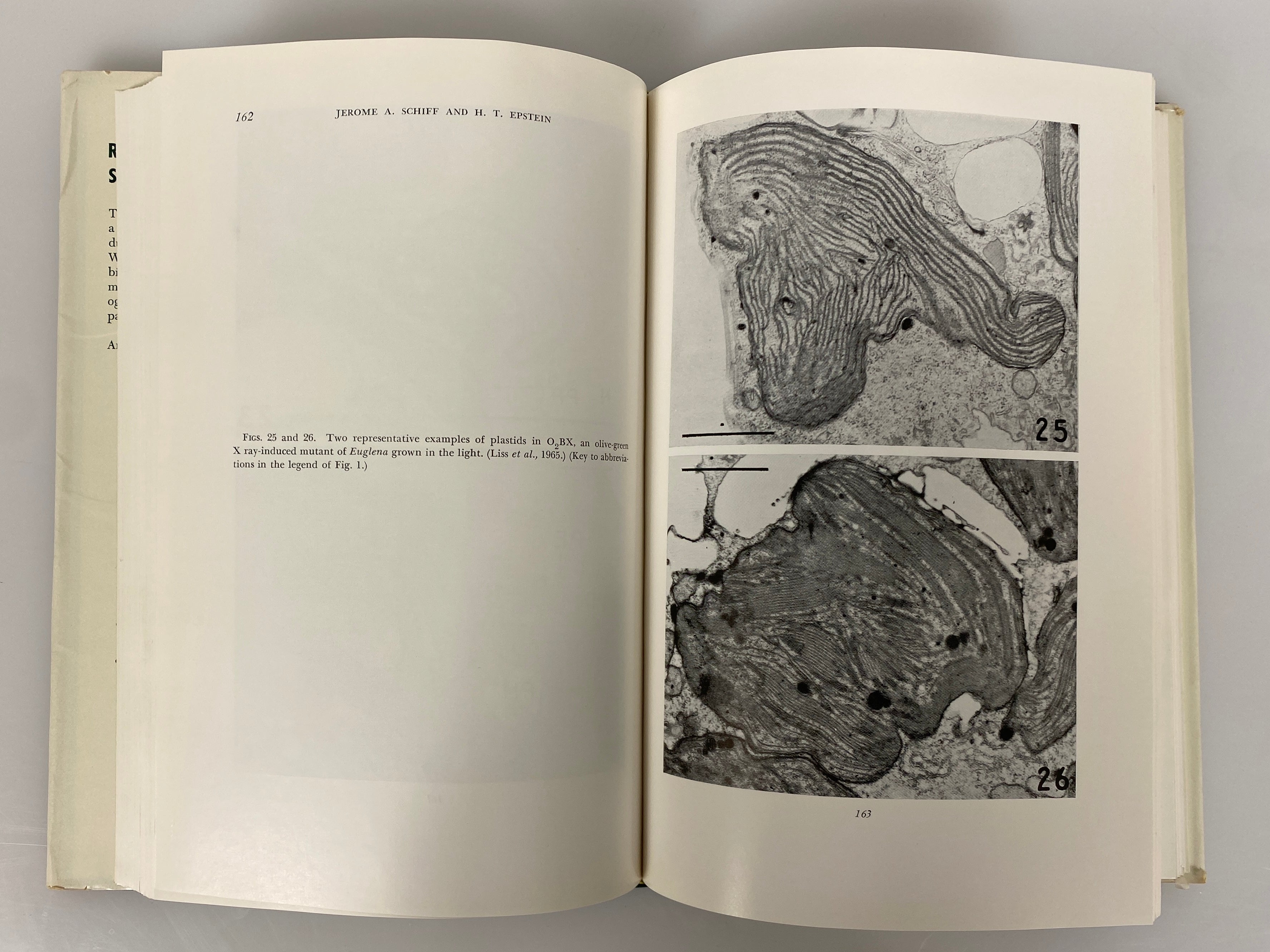 3 Vols: Symposium of the Society for Study of Development & Growth 1963-65 HCDJ