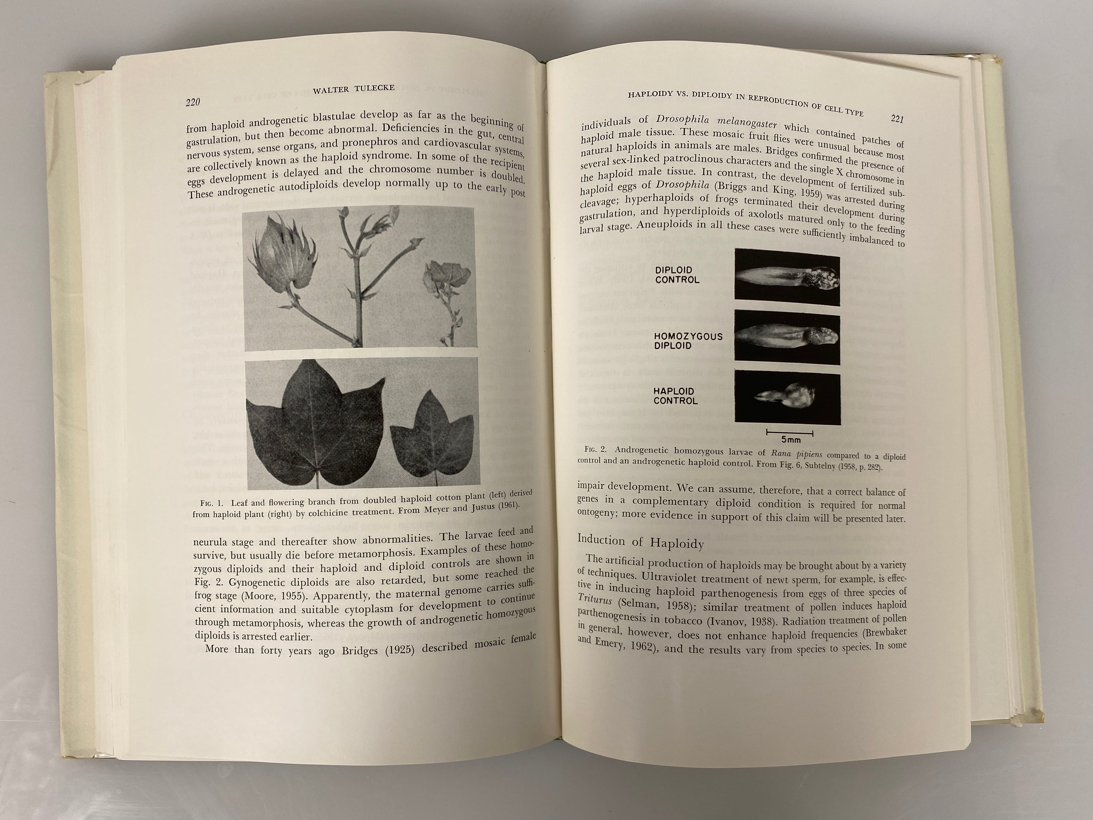 3 Vols: Symposium of the Society for Study of Development & Growth 1963-65 HCDJ
