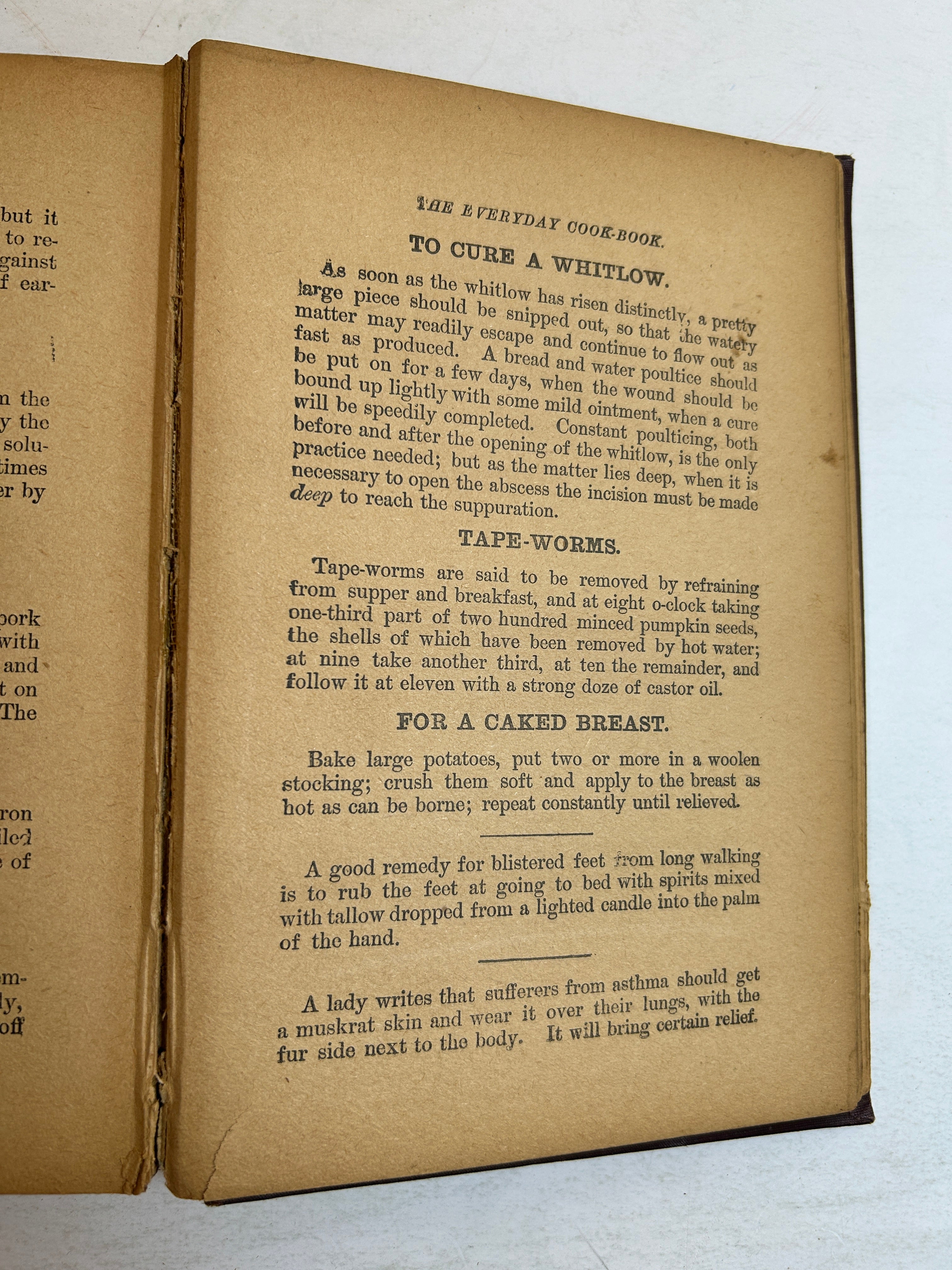 3 Vols: The Everyday Cookbook/Foods Preparation & Serving/Foods & Home Making