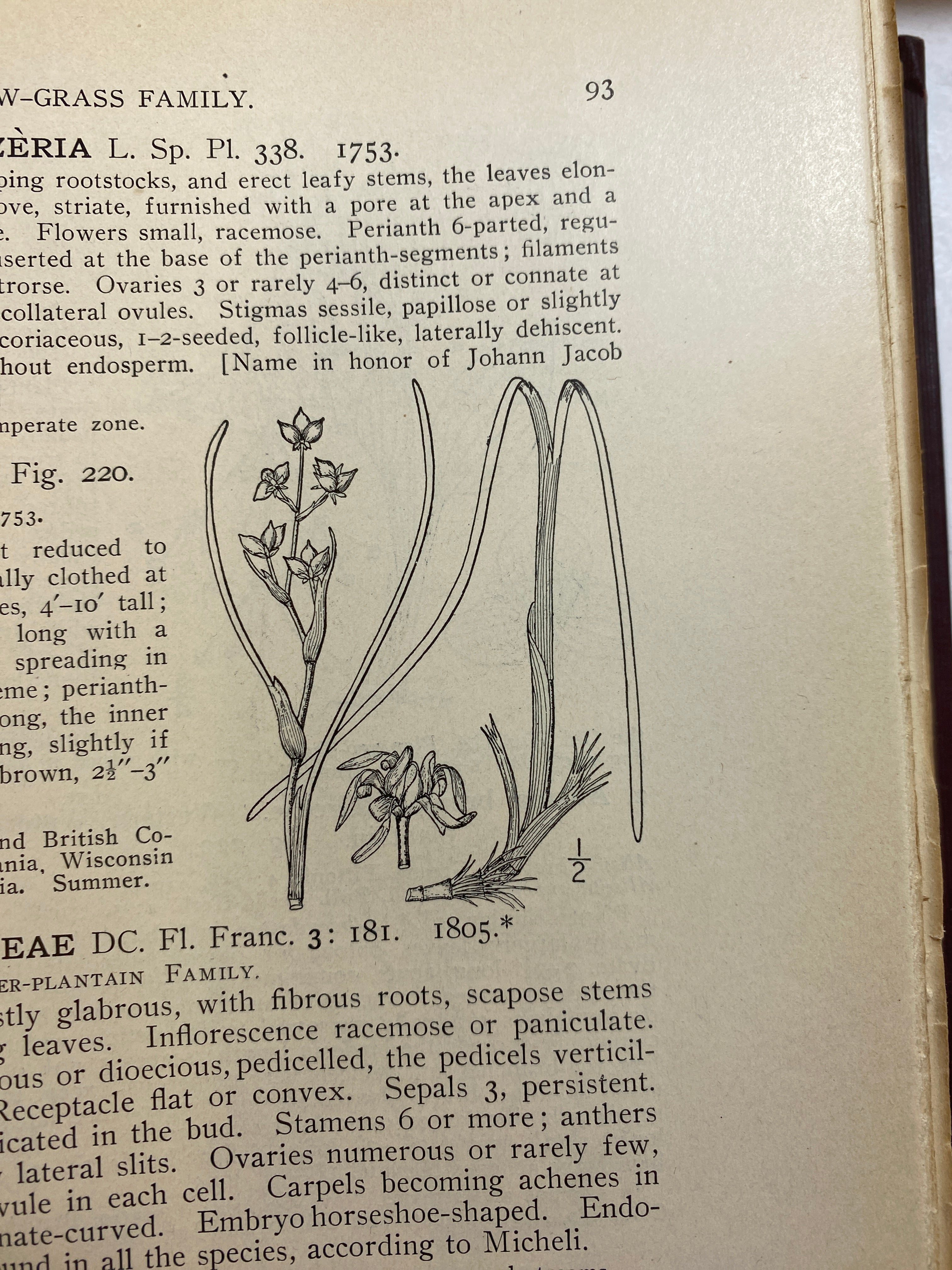 3 Volume Set Illustrated Fauna of the Northern States and Canada HC 1913
