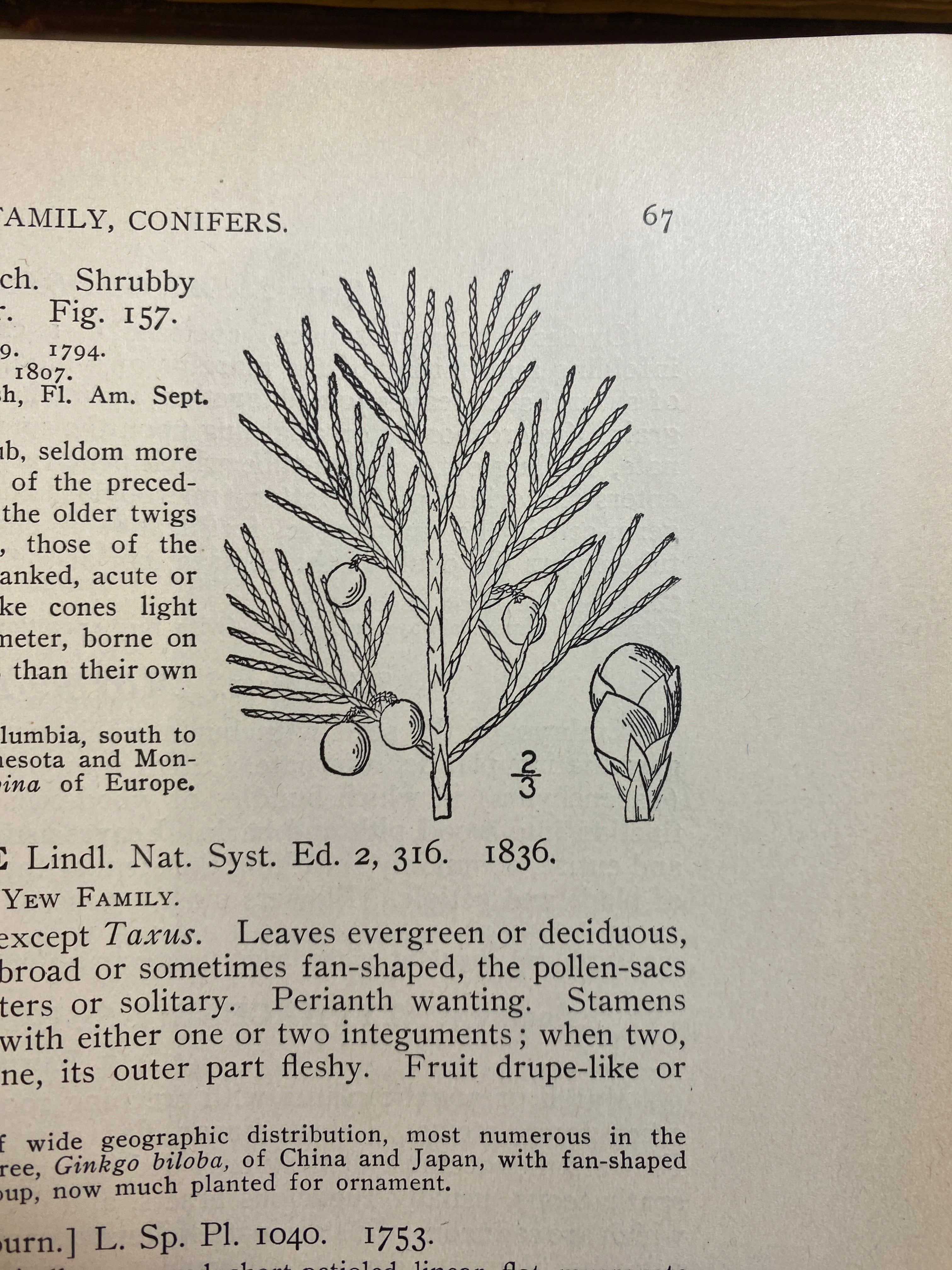 3 Volume Set Illustrated Fauna of the Northern States and Canada HC 1913
