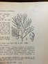 3 Volume Set Illustrated Fauna of the Northern States and Canada HC 1913