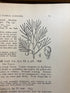3 Volume Set Illustrated Fauna of the Northern States and Canada HC 1913