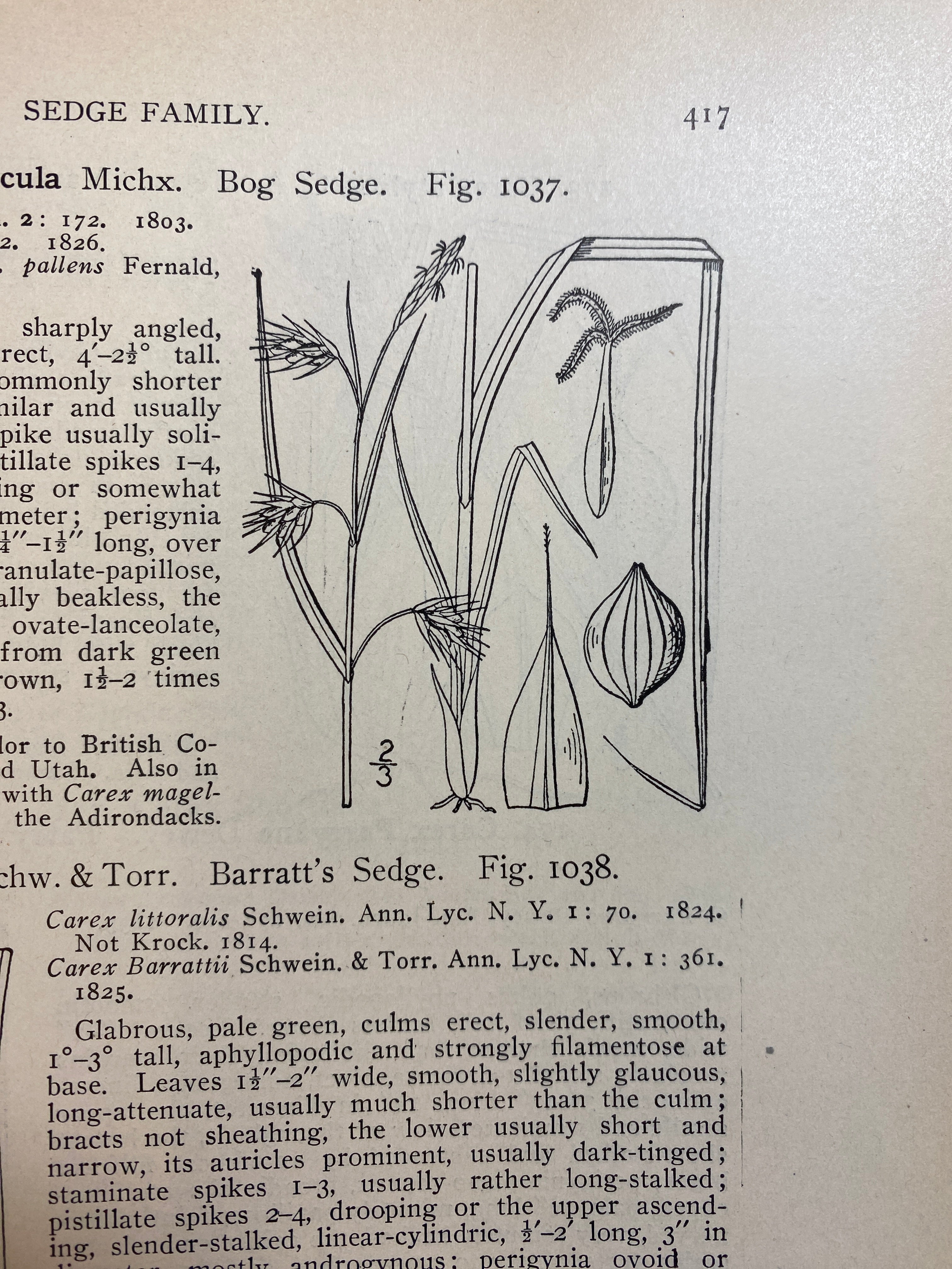 3 Volume Set Illustrated Fauna of the Northern States and Canada HC 1913