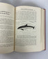 3 Volume Set: The Animal Kingdom by Frederick Drimmer 1954 Vintage HC