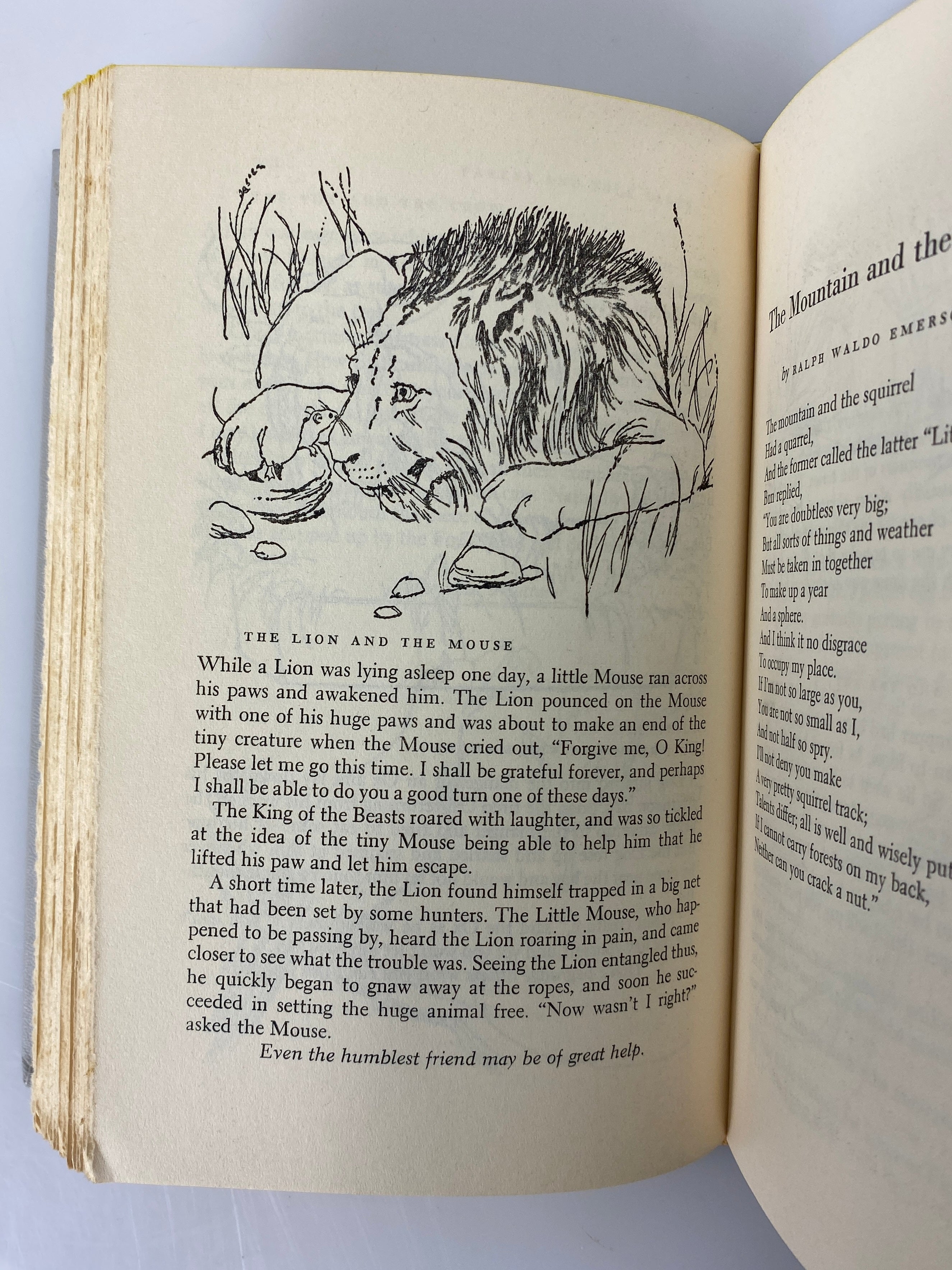 3 Volume Set: The Family Treasury of Children's Stories 1956 HC