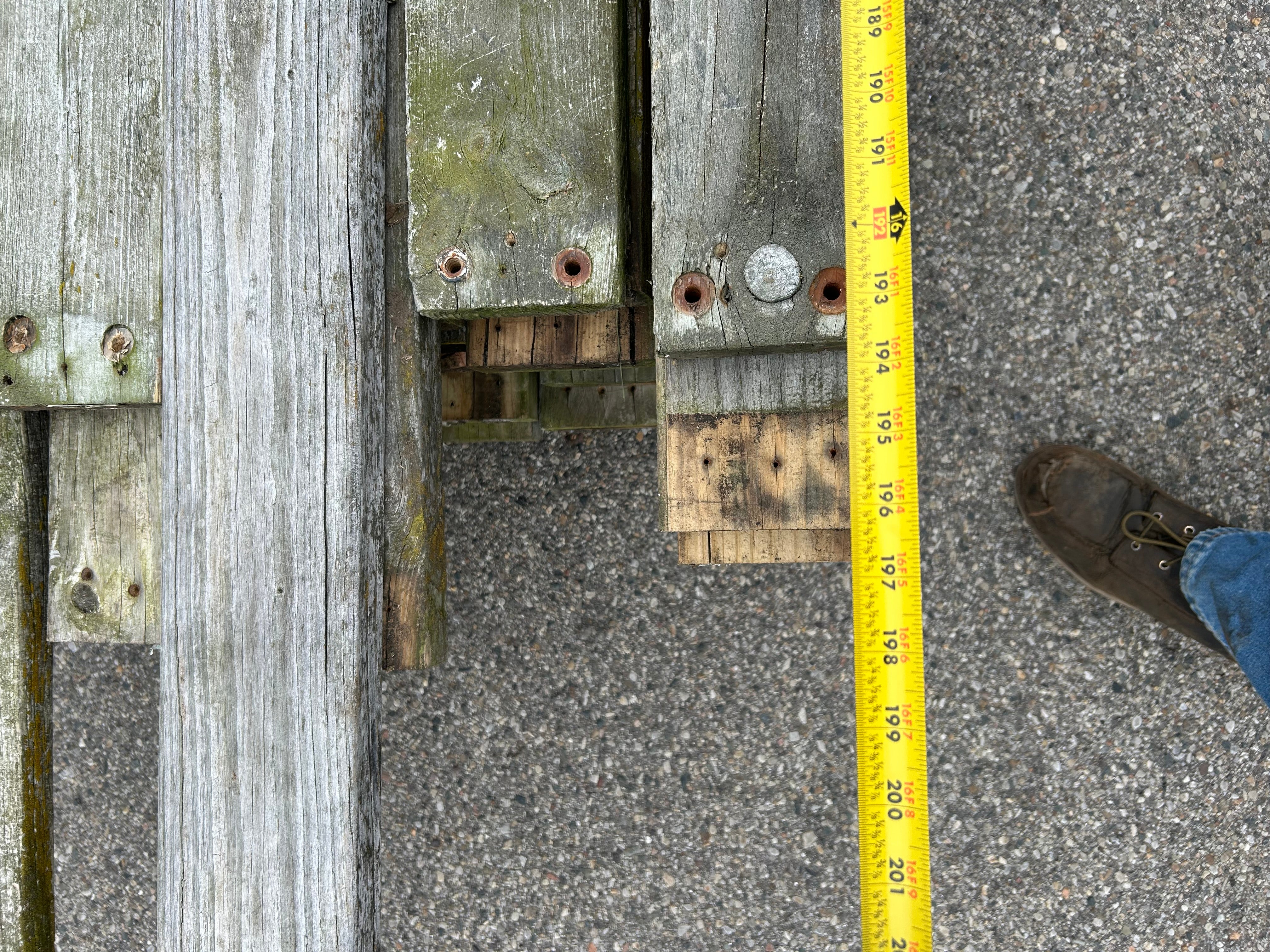 Large Assortment of Lumber #1