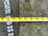 Concrete Bench