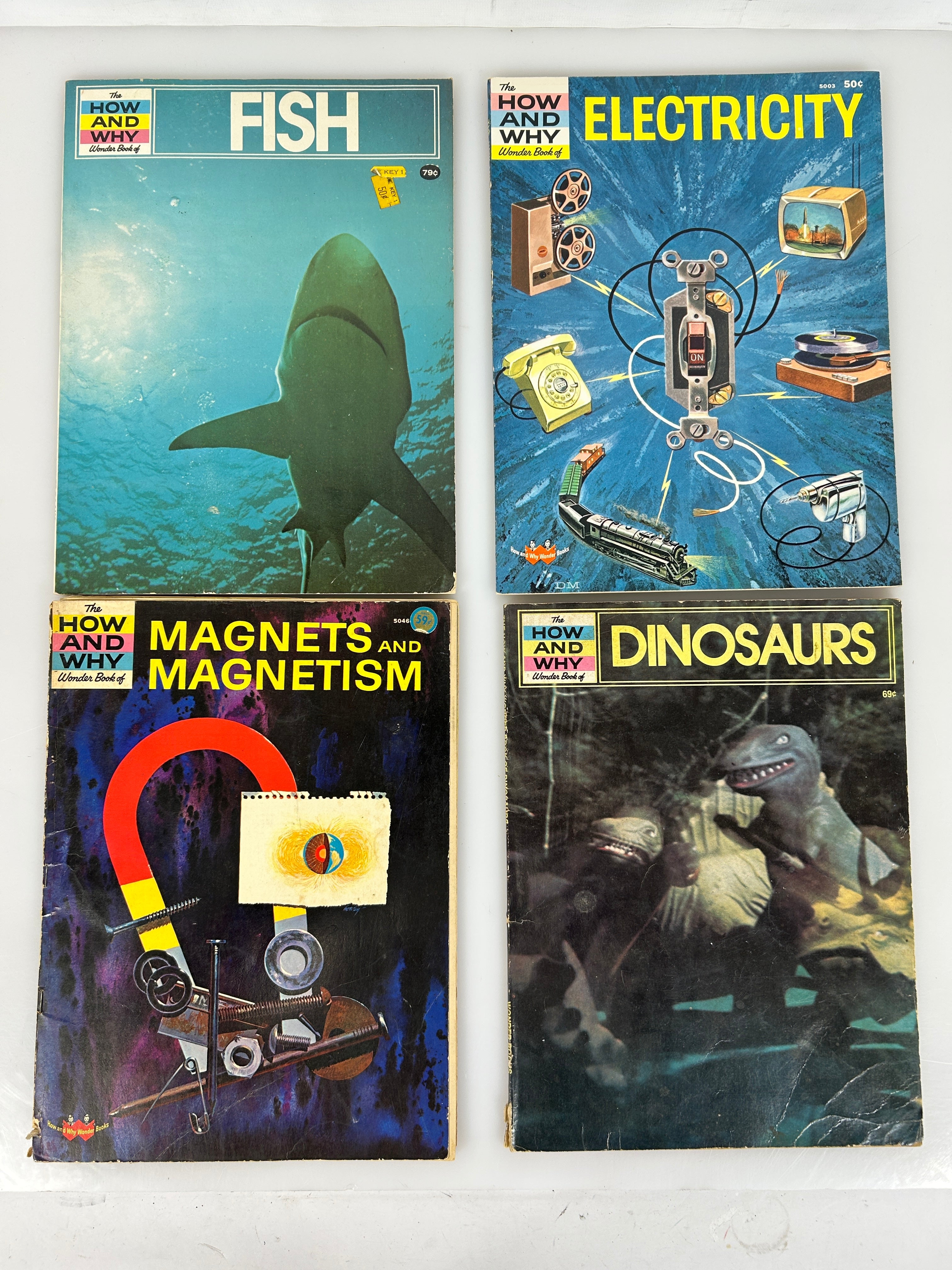 4 Vols The How & Why Wonder Books Electricity, Fish, Dinosaur, Magnet 1960-75 SC