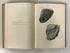 4 Volumes: Maryland Geological Survey 1904/1916 Antique HC Ex-Library