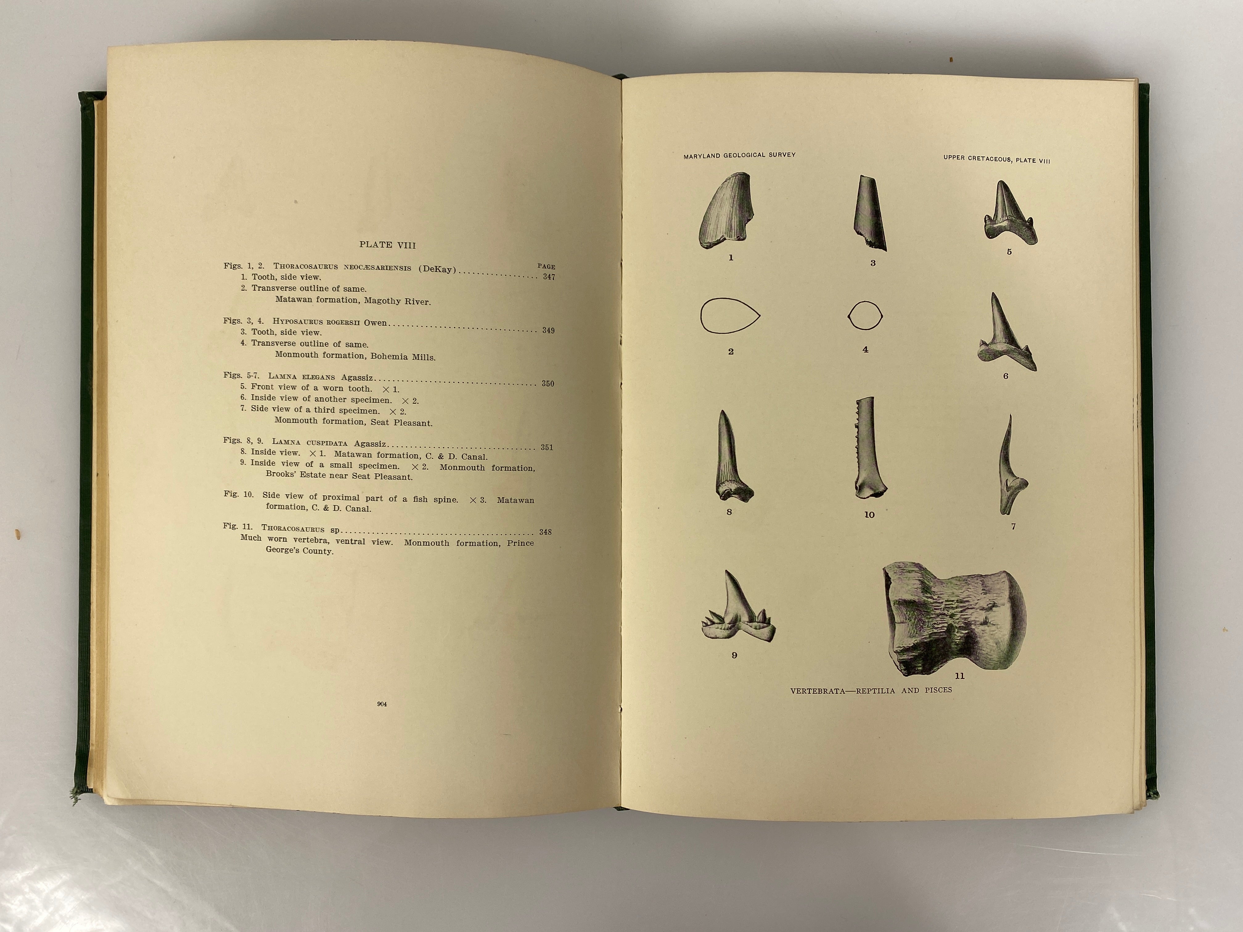 4 Volumes: Maryland Geological Survey 1904/1916 Antique HC Ex-Library