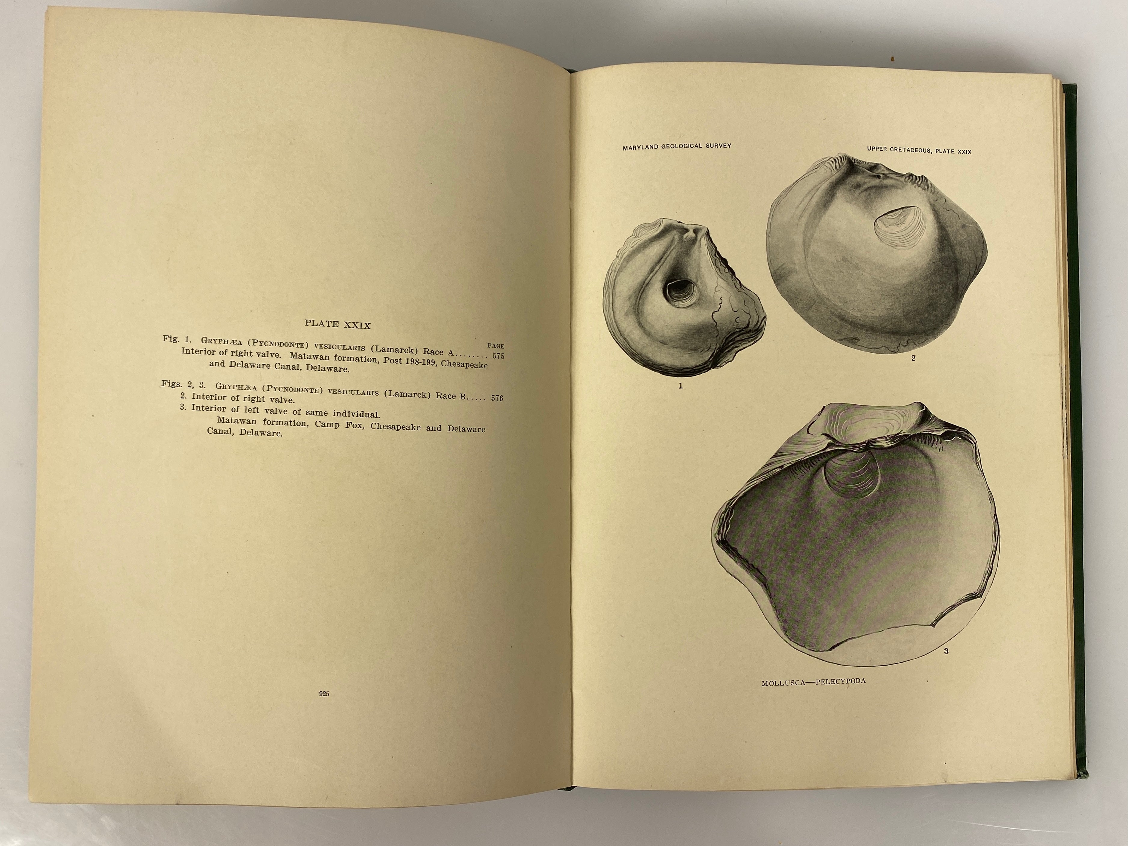 4 Volumes: Maryland Geological Survey 1904/1916 Antique HC Ex-Library