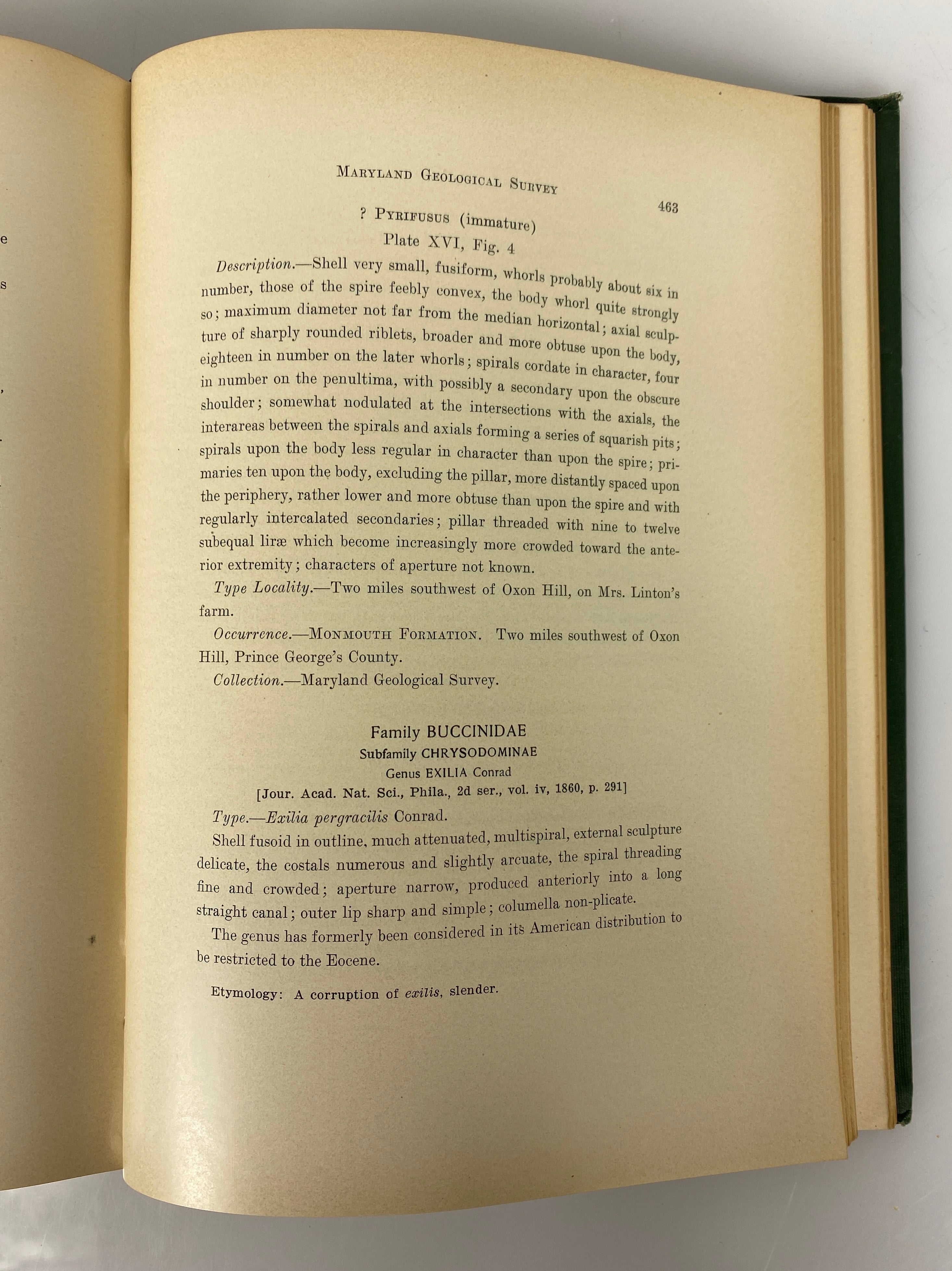 4 Volumes: Maryland Geological Survey 1904/1916 Antique HC Ex-Library