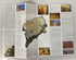 5 Vintage Middle East Maps/Posters incl Afghanistan/Masada/Nat Geo