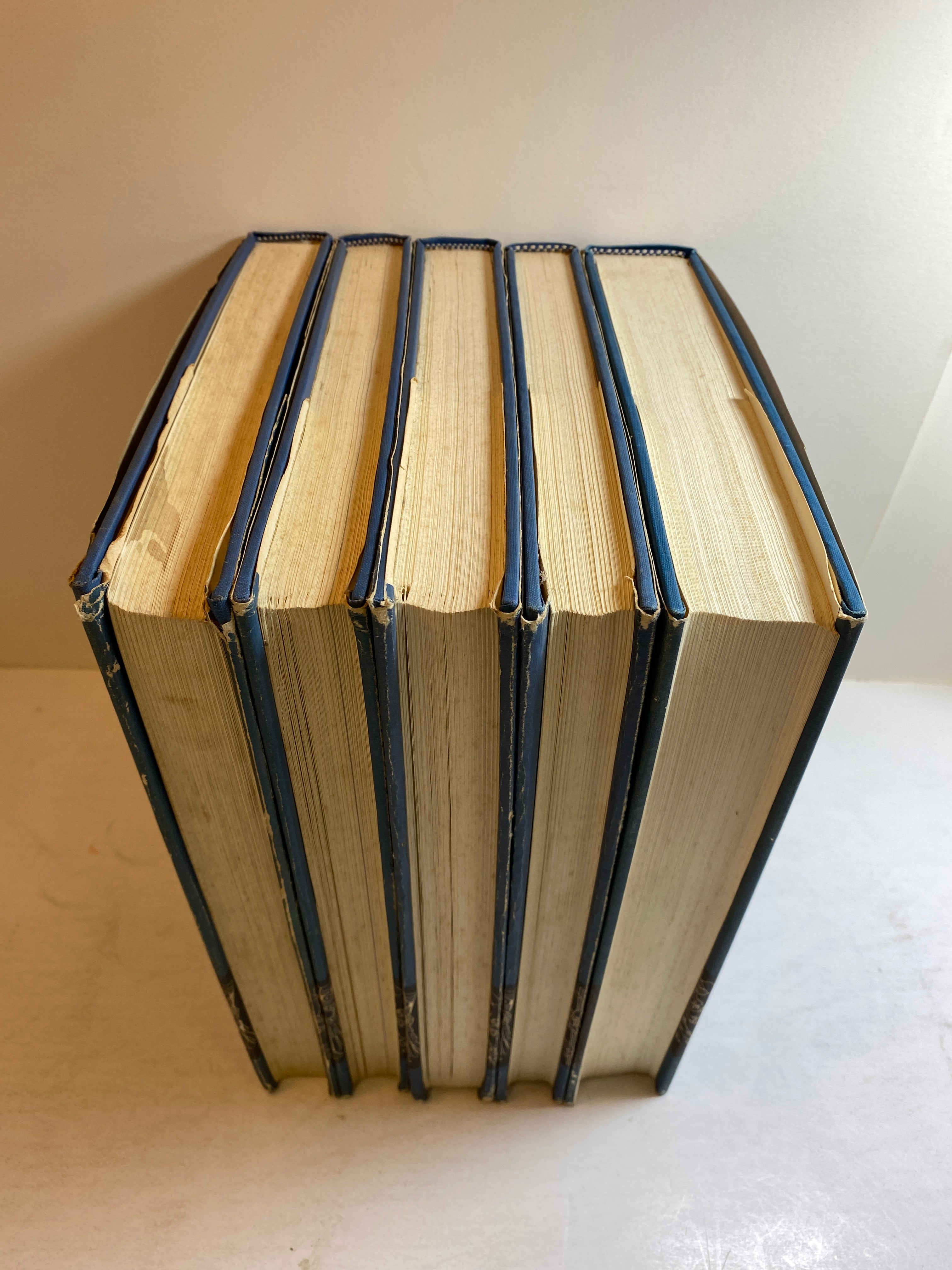 5 Volume Set: The Prehistory of the Tehuacan Valley by Byers 1967 HC DJ