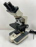 National Optical Binocular Microscope DC3-163