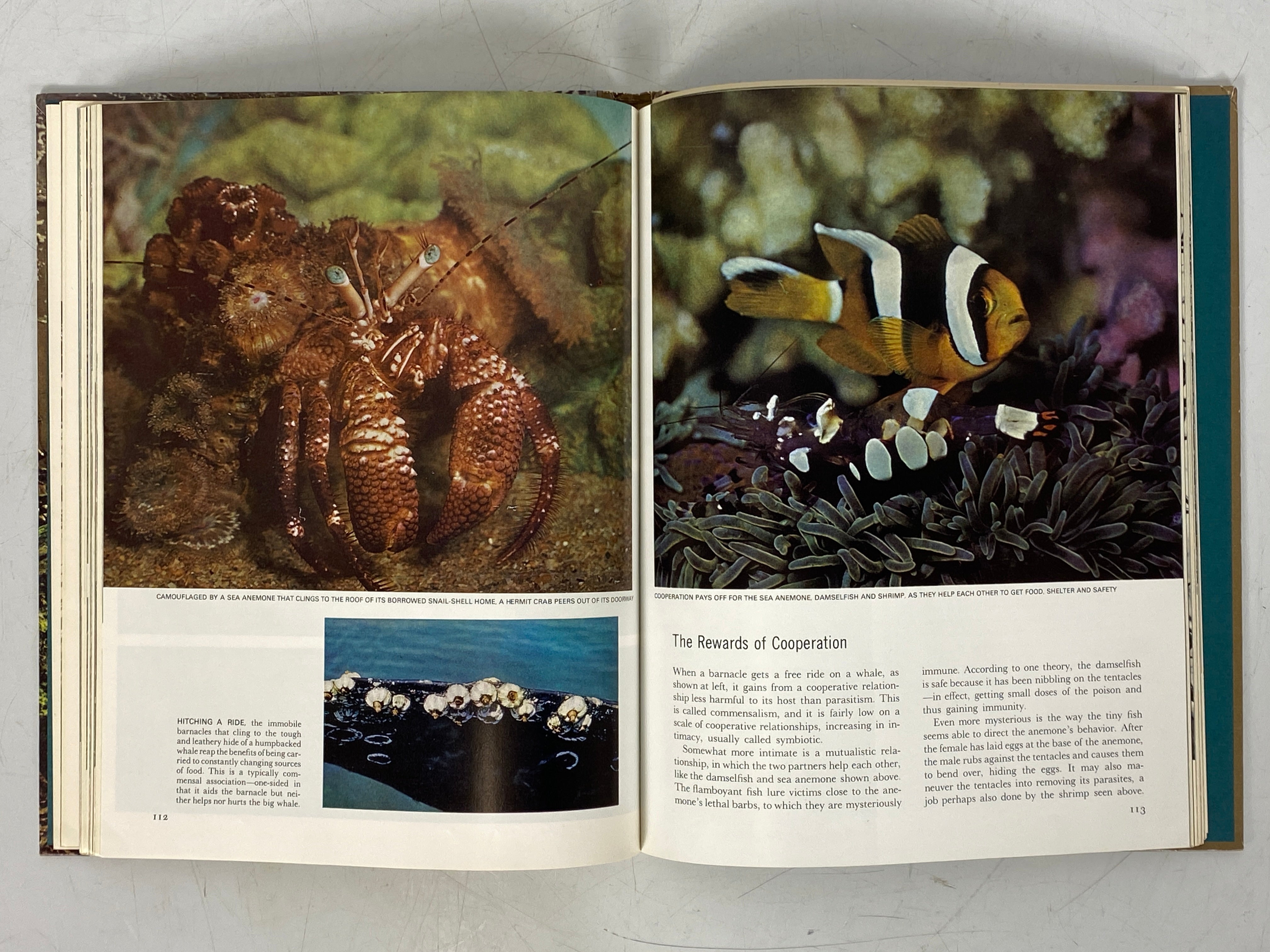 7 Vols: Life Nature Library incl Evolution/Mammals/Universe 1963-65 HC