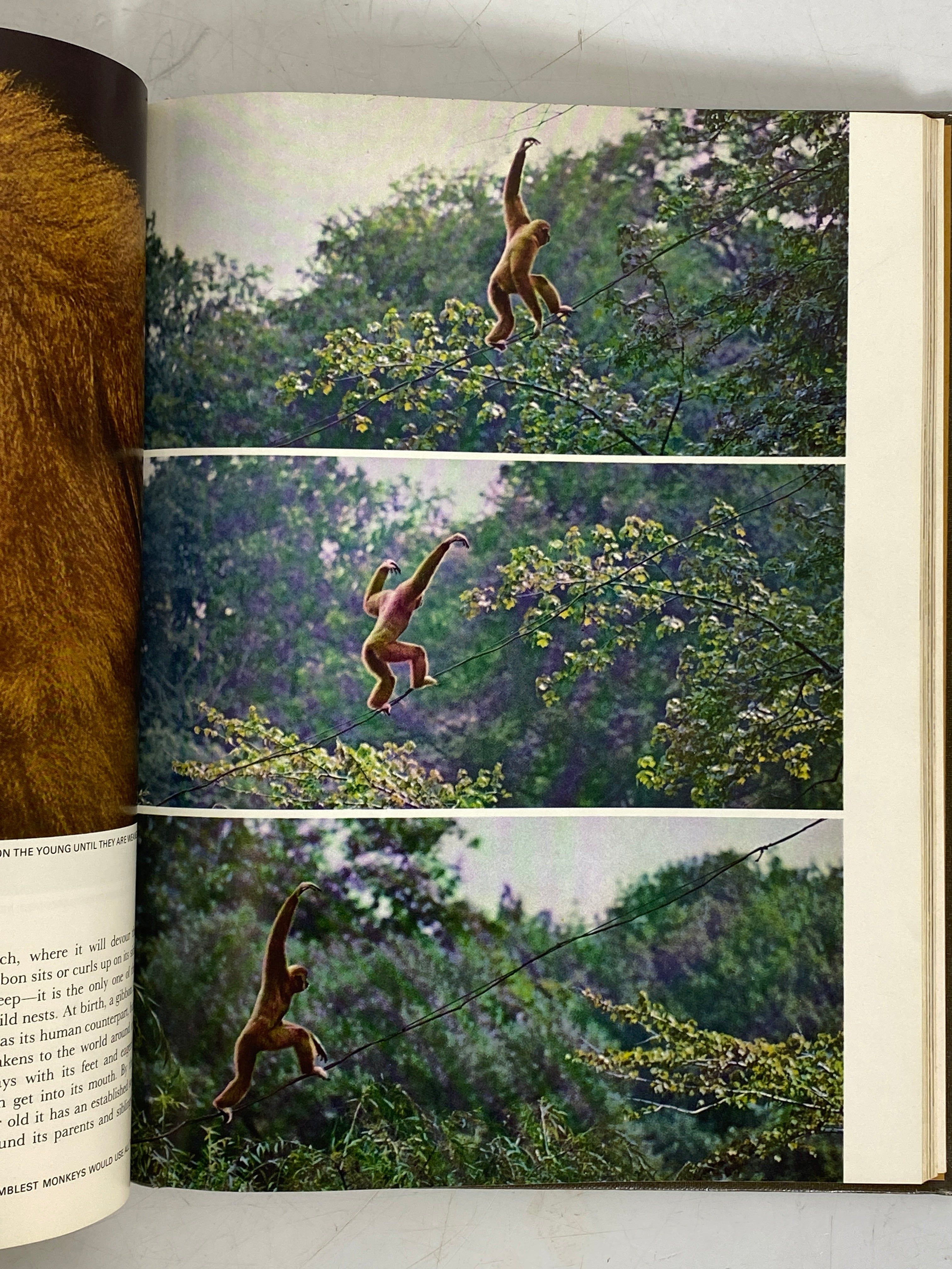 7 Vols: Life Nature Library incl Evolution/Mammals/Universe 1963-65 HC