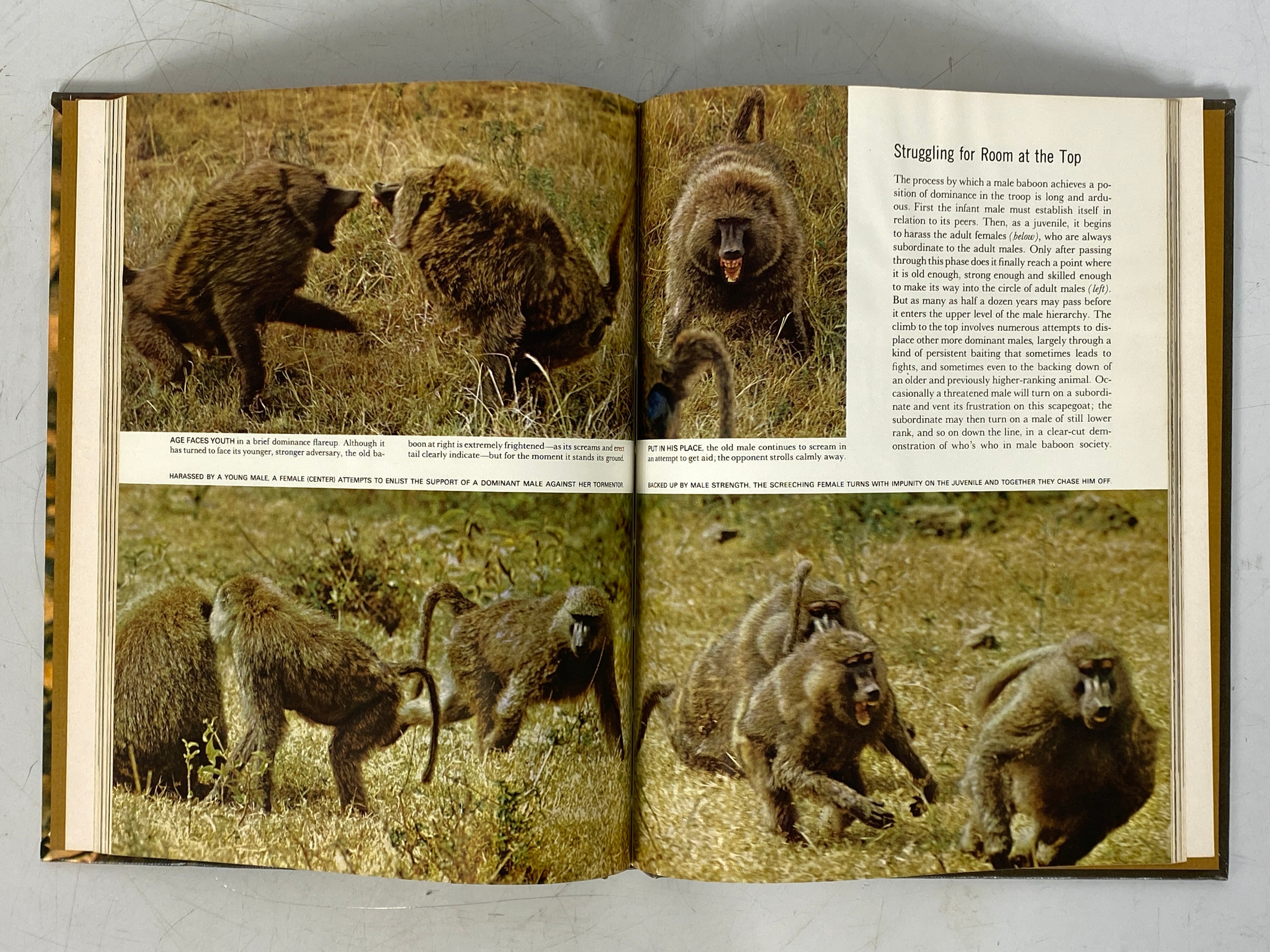 7 Vols: Life Nature Library incl Evolution/Mammals/Universe 1963-65 HC