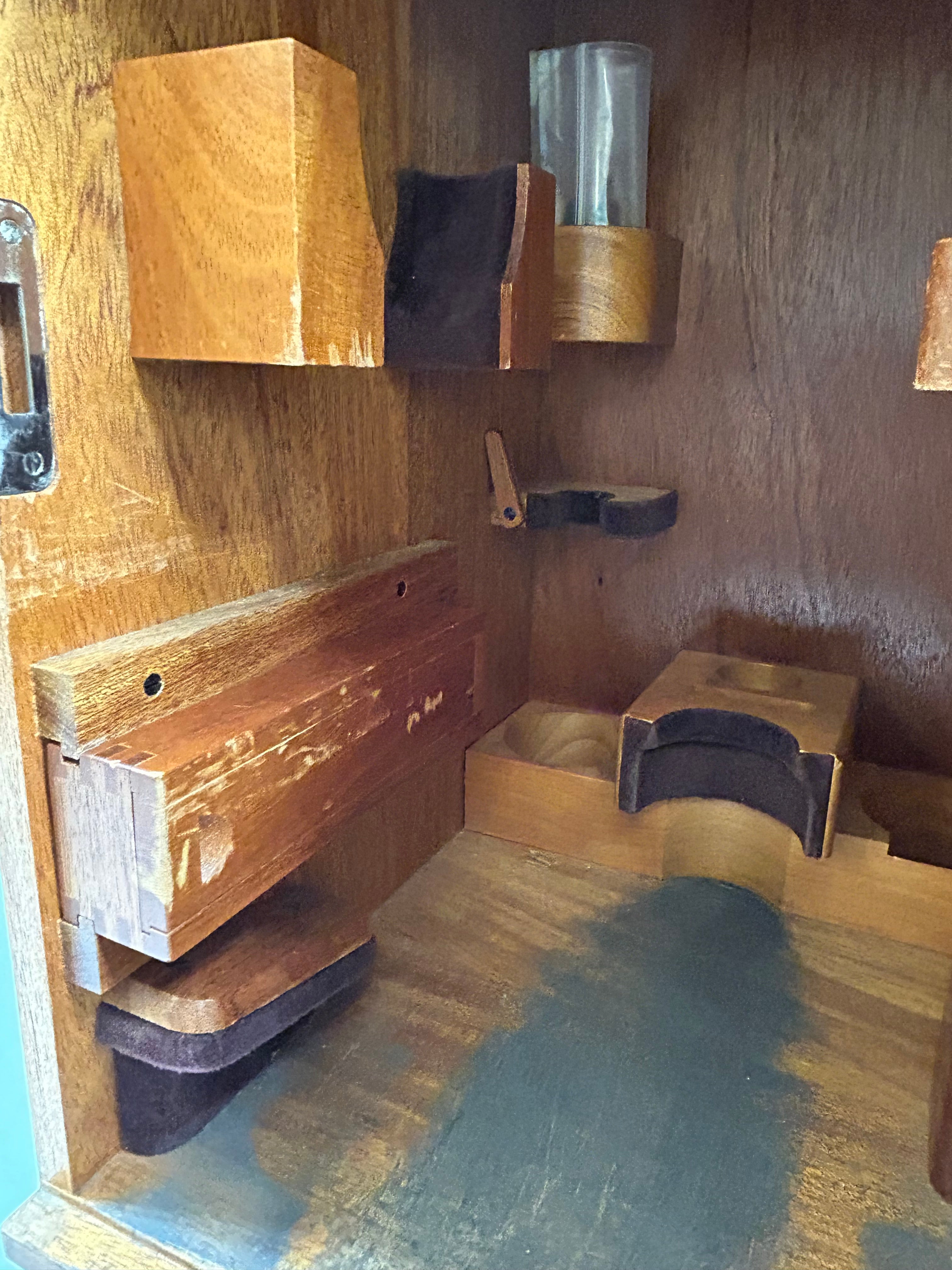 Vintage Leitz Laborlux II Binocular Microscope with Wood Case