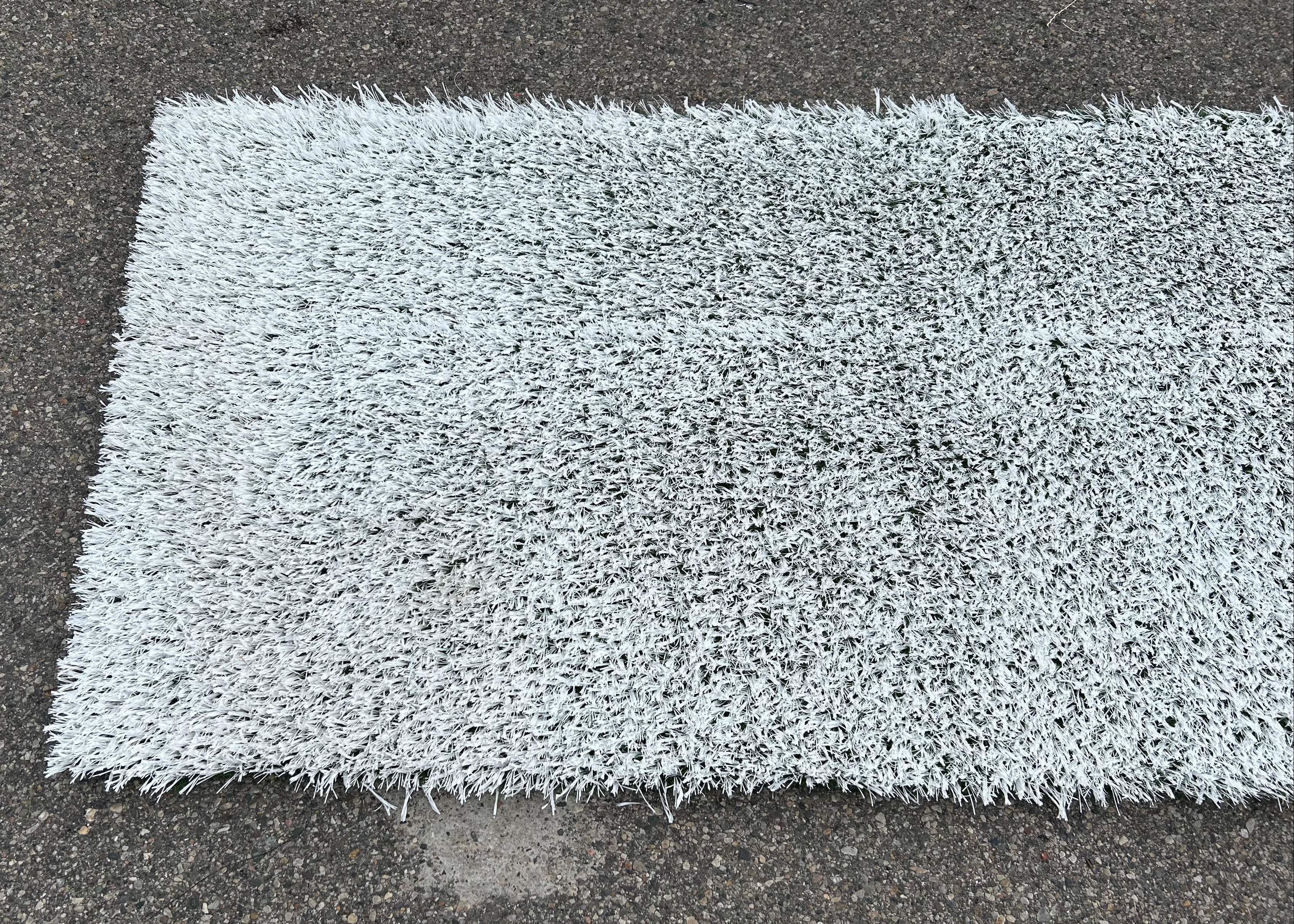 MSU Football Practice Turf #12 (Auction)