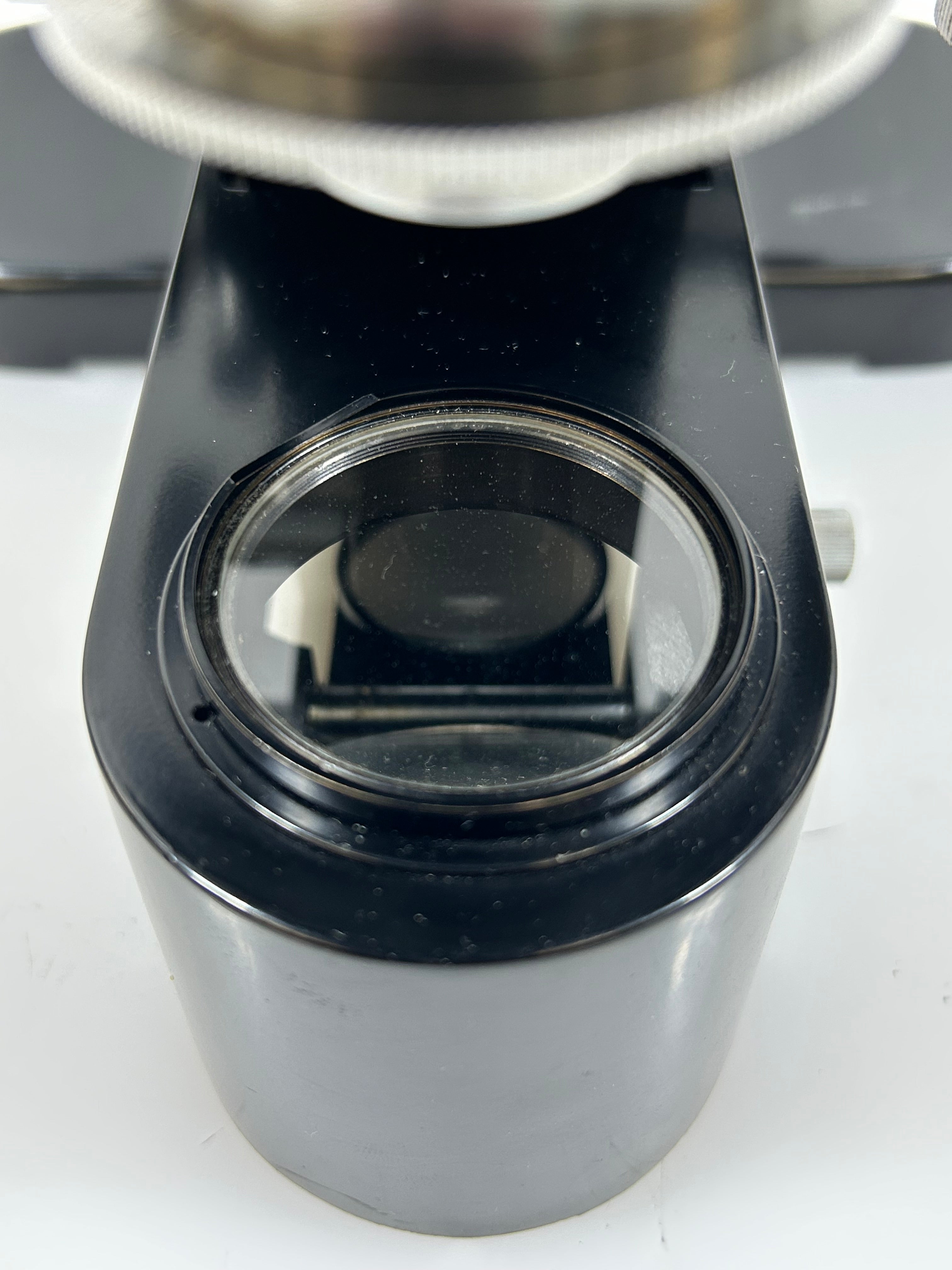 Vintage Leitz Laborlux II Binocular Microscope with Wood Case