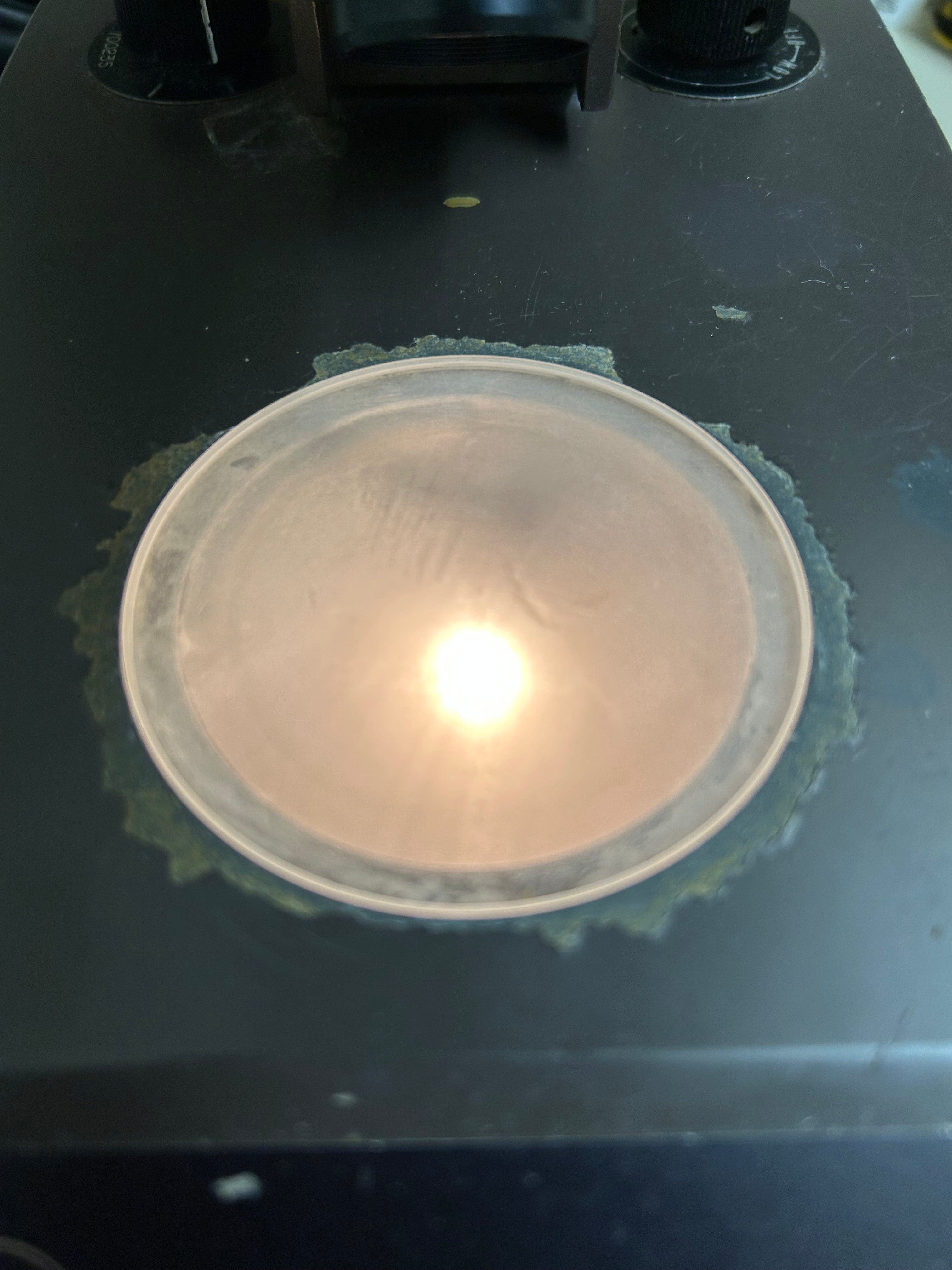 Swift Instuments Stereo Eighty Microscope