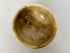 MSU Shadows Amur Maple Bowl #18