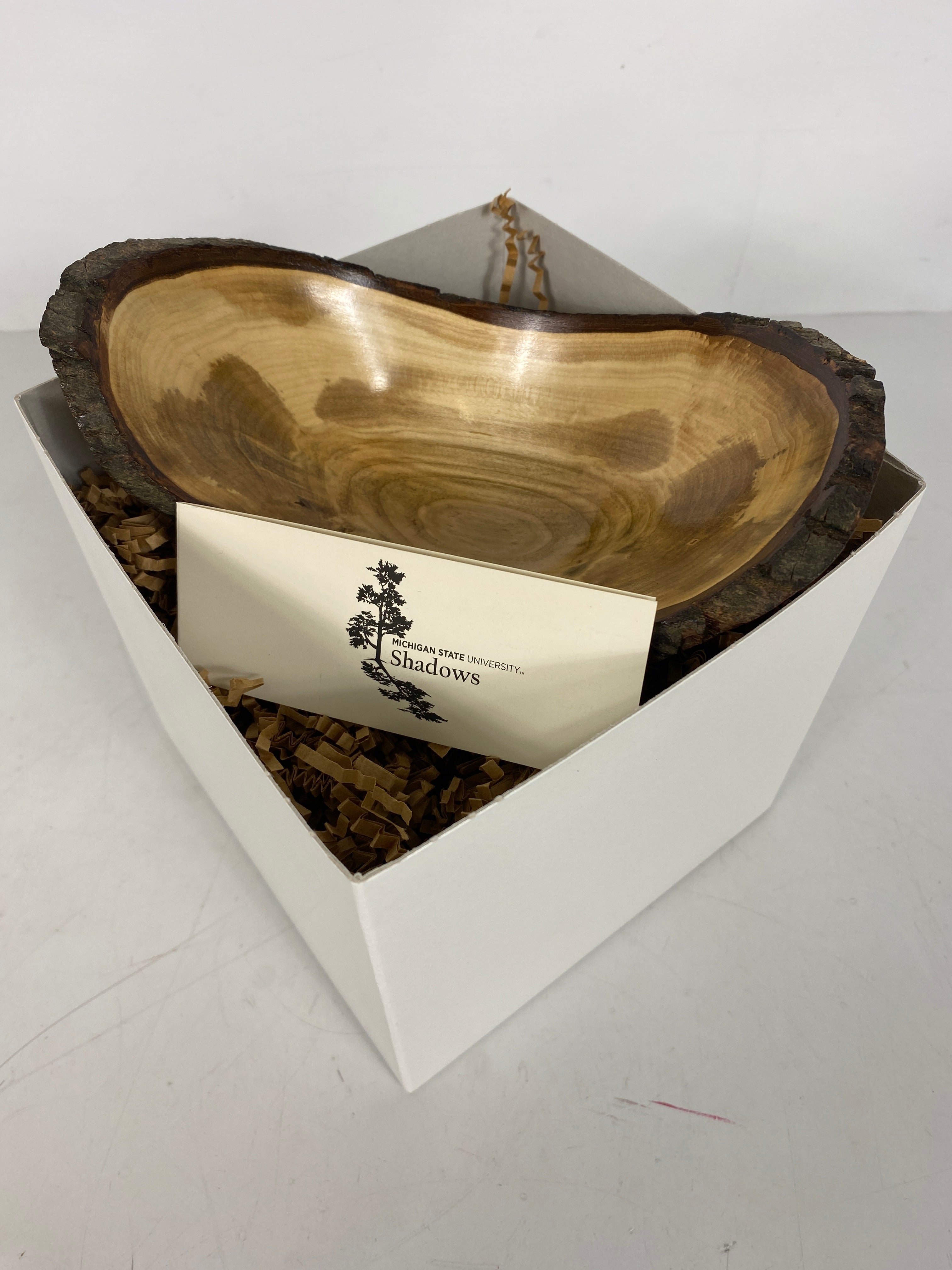 MSU Shadows Amur Maple Bowl #1