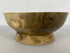 MSU Shadows Amur Maple Bowl #7