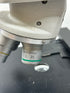 Reichert-Jung Series 150 Binocular Microscope