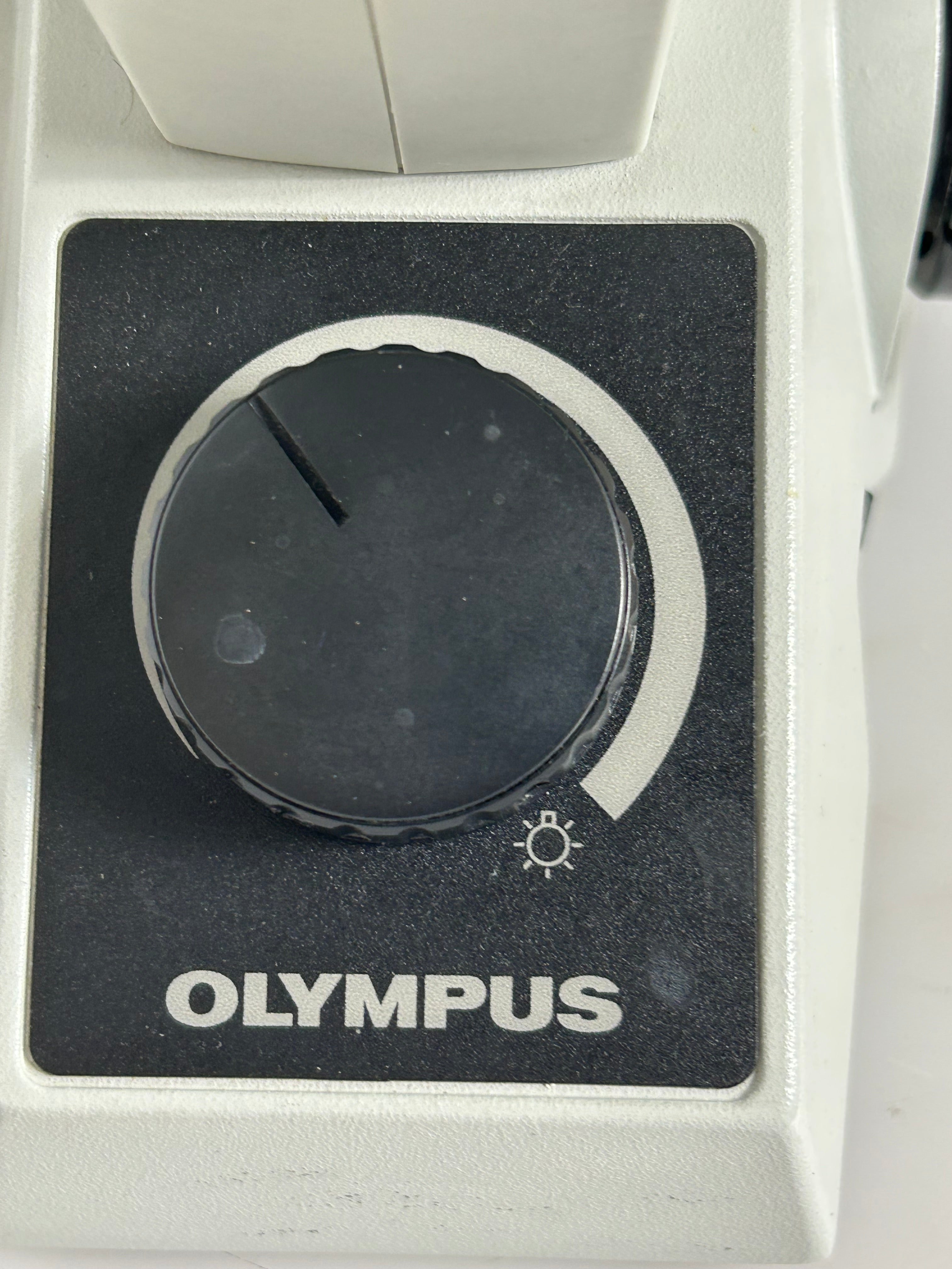 Olympus CK30 Inverted Phase Contrast Microscope