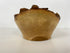 MSU Shadows Black Maple Bowl #037