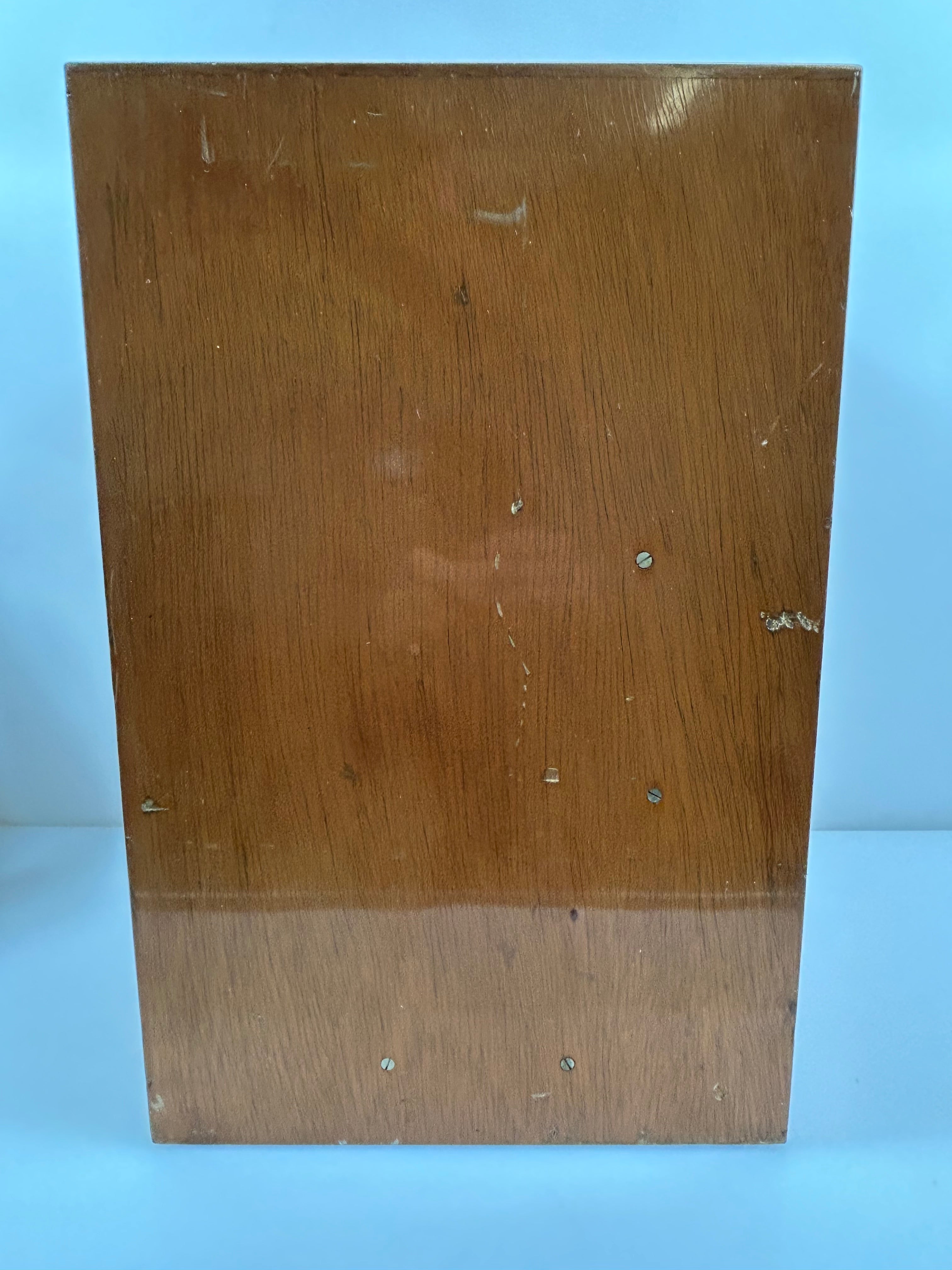 Vintage Leitz Laborlux II Binocular Microscope with Wood Case