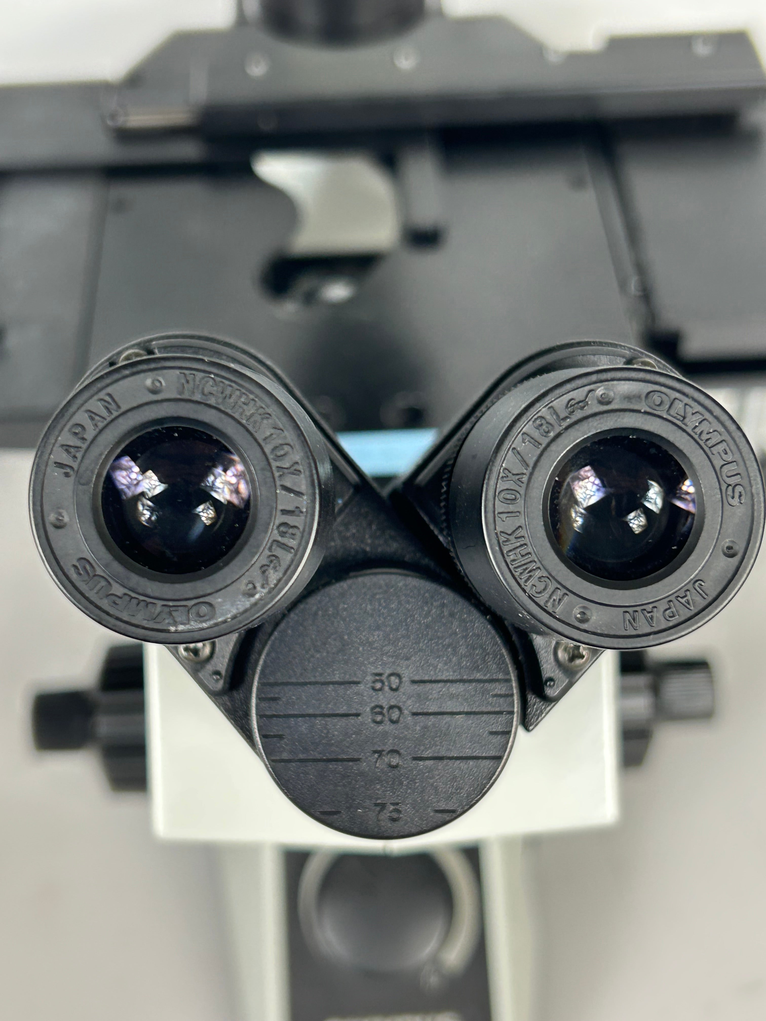 Olympus CK30 Inverted Phase Contrast Microscope
