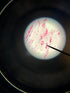 National Optical Binocular Microscope DC3-163