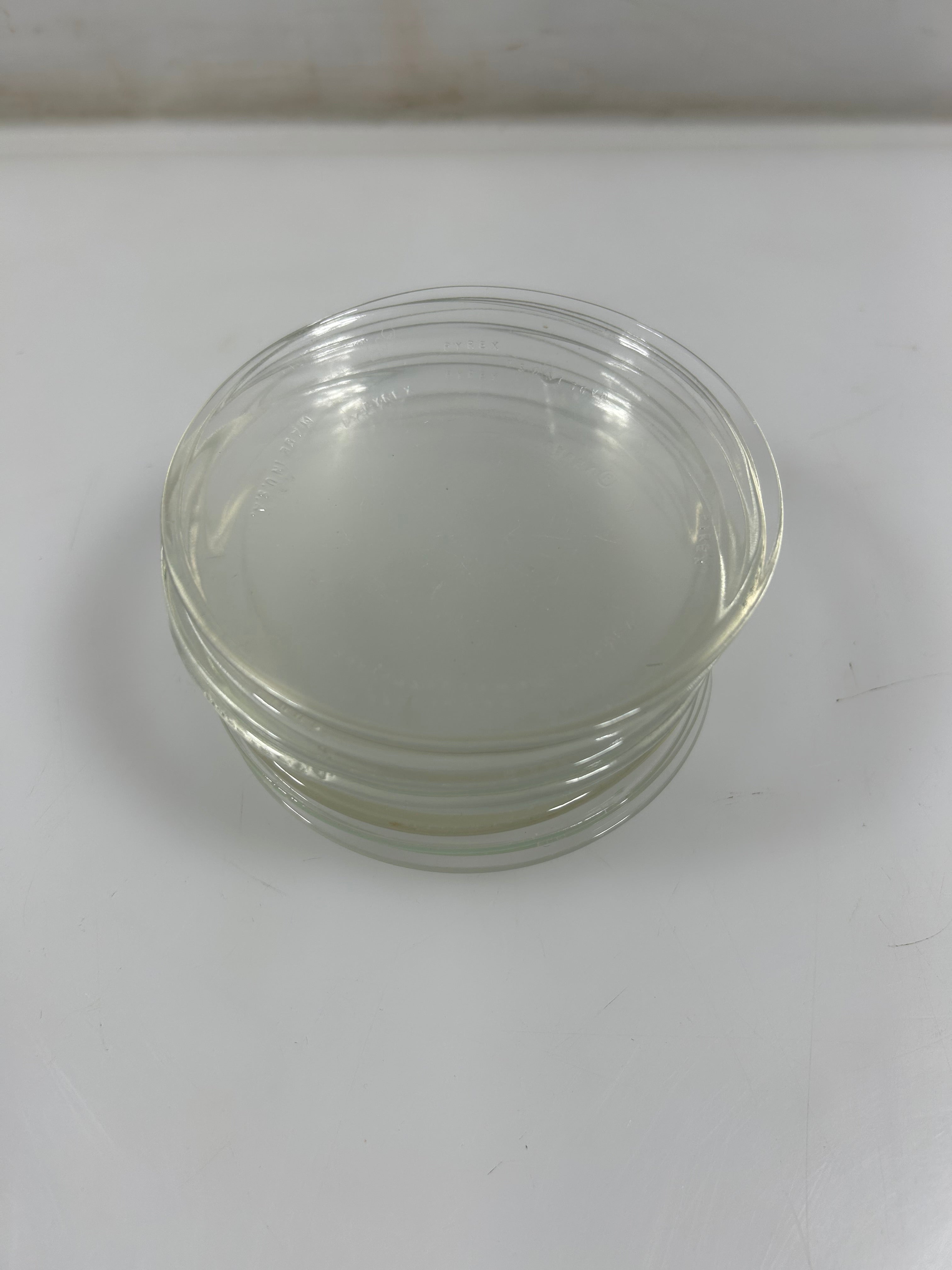 Pyrex 4 inch Lab Glassware Petri Dish 15 Count