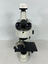 Nikon Eclipse 50i Microscope