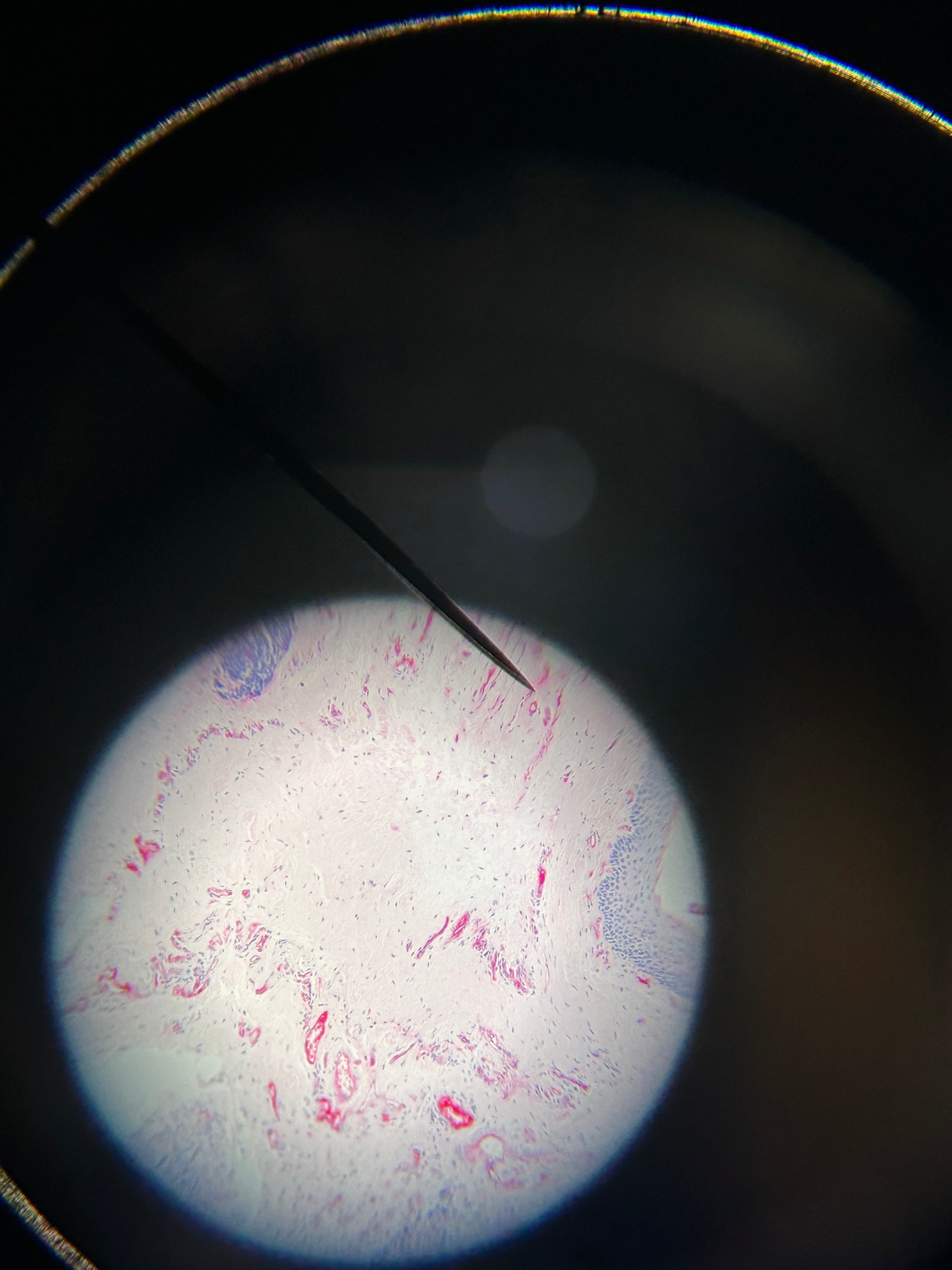 National Optical Binocular Microscope DC3-163