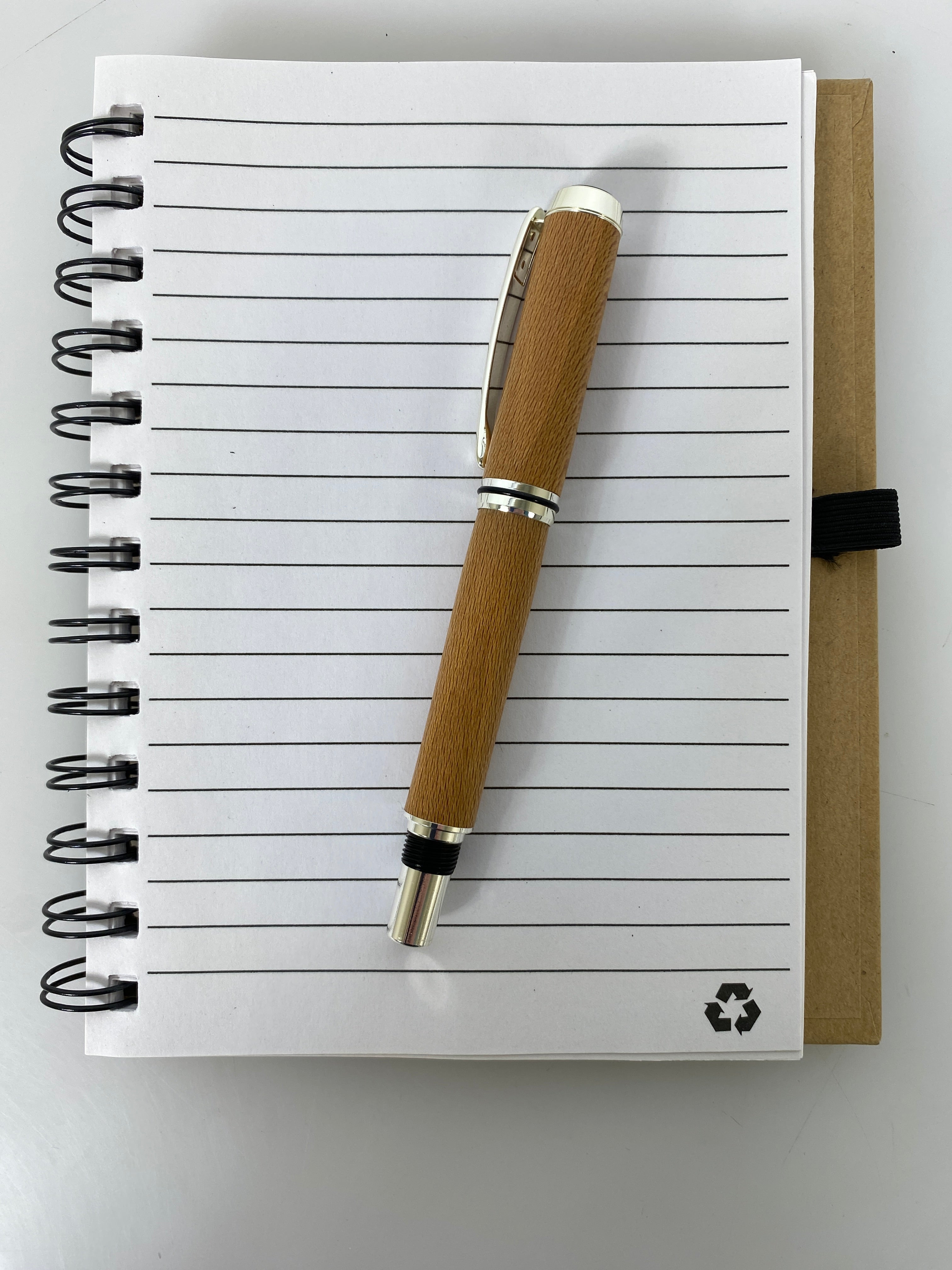 MSU Shadows Fountain Pen Ash