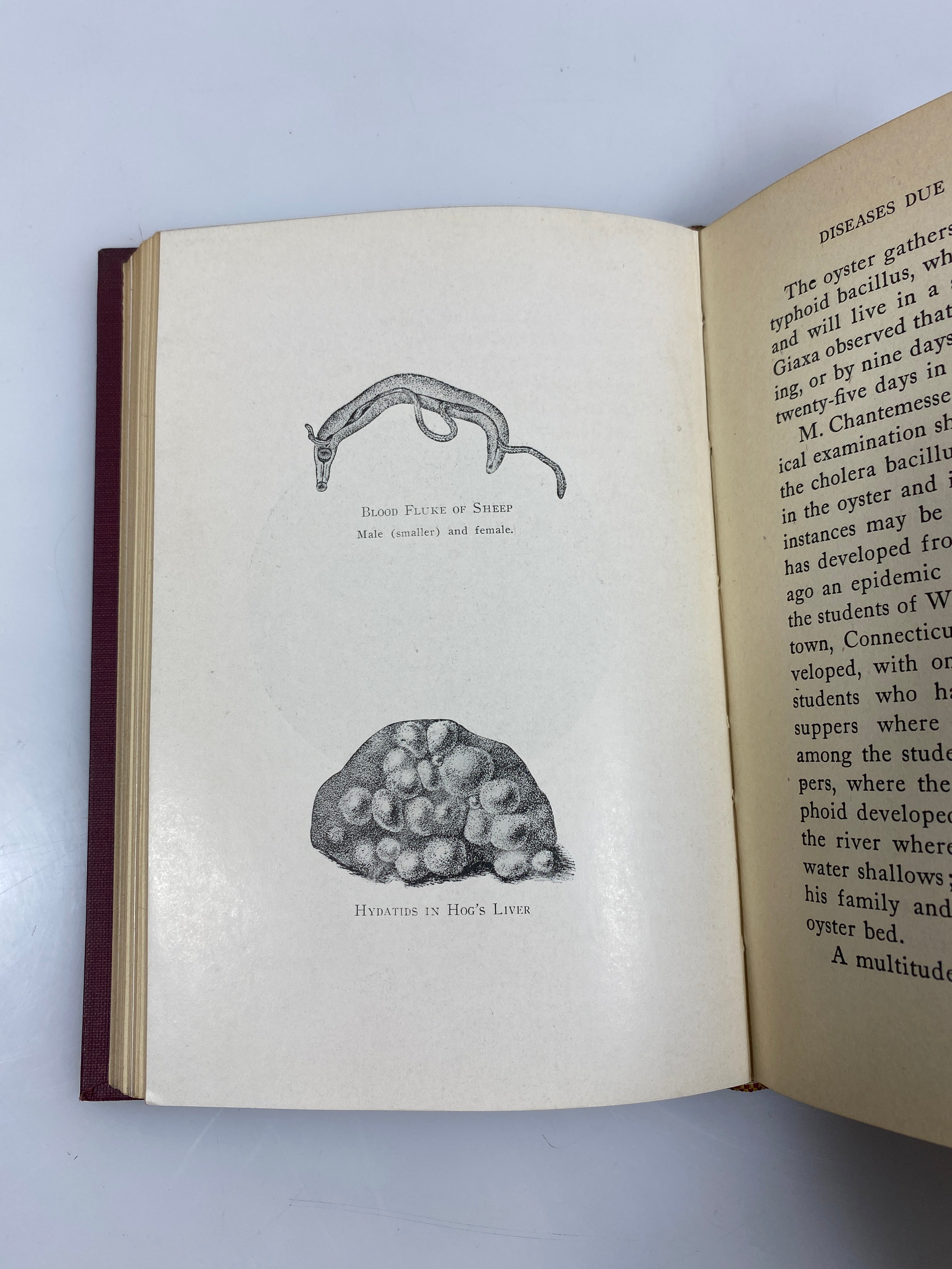 The Natural Diet of Man by Kellogg Ex-library 1923 HC