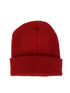 Detroit Red Wings Beanie