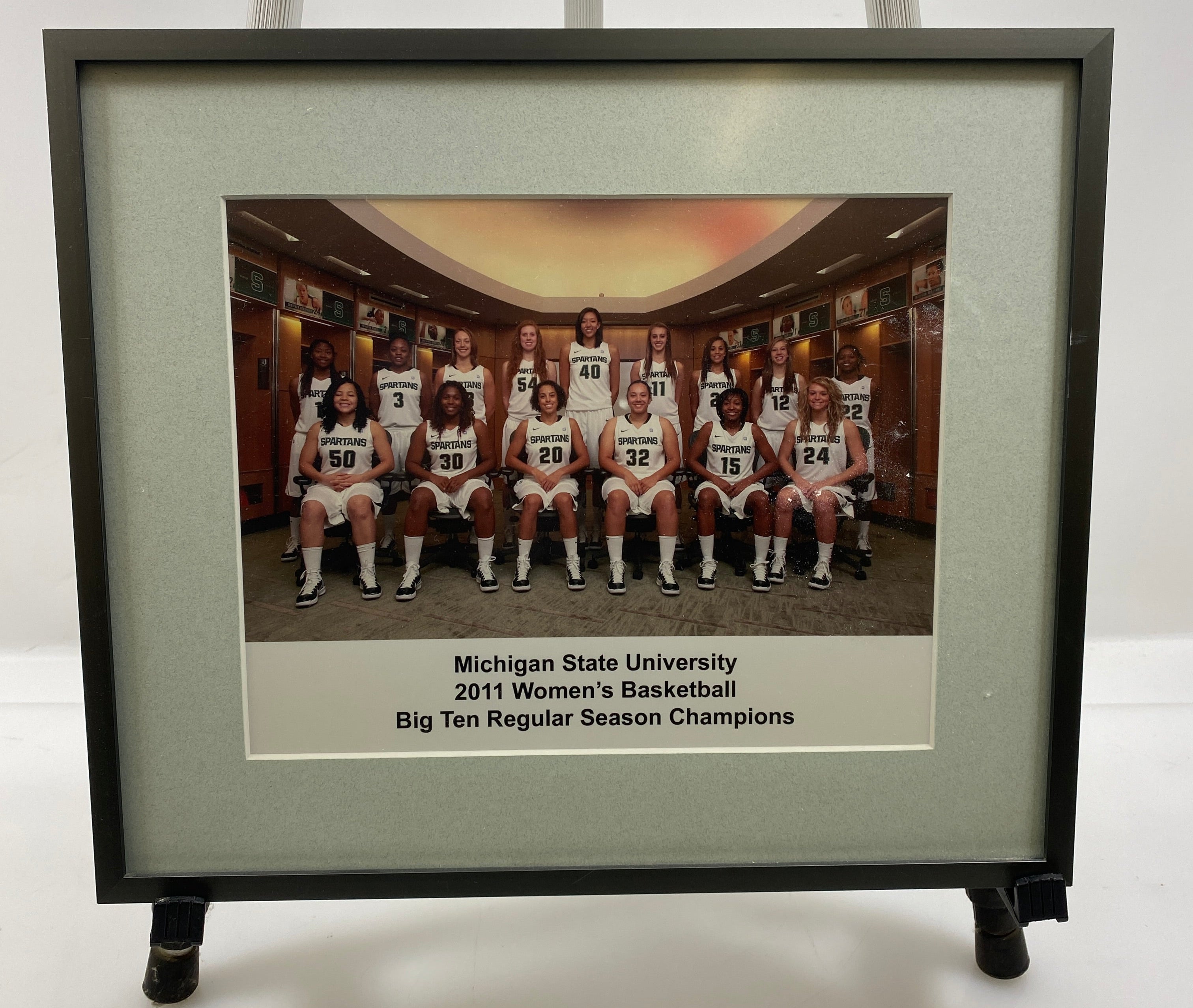 Michigan State University 2011 Women's Basketball Big Ten Regular Season Champions Framed Team Photo
